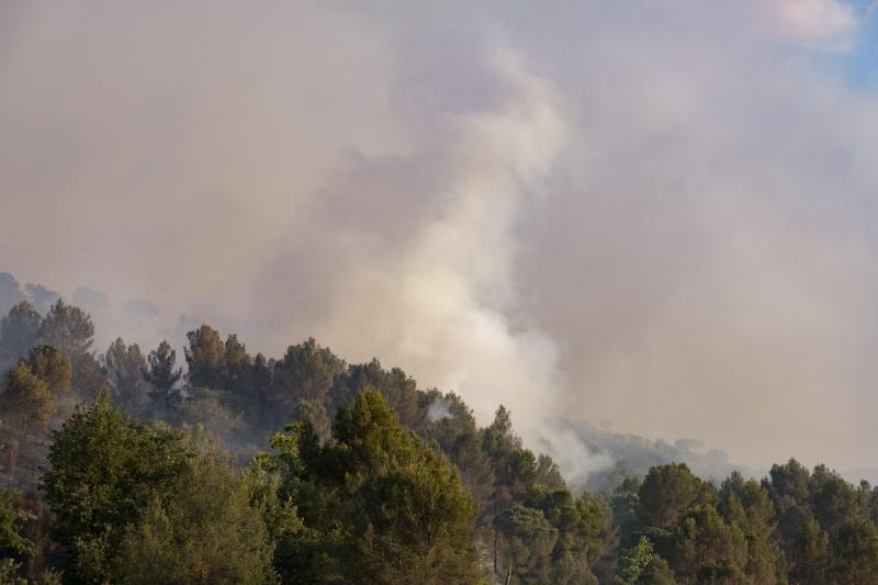 Imágenes del incendio entre Castellví de Rosanes i Martorell