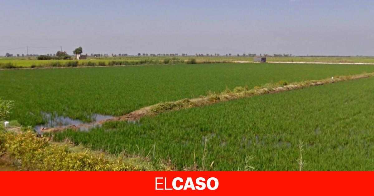 Muere Un Hombre De A Os Tras Volcar Con El Tractor En Un Arrozal De