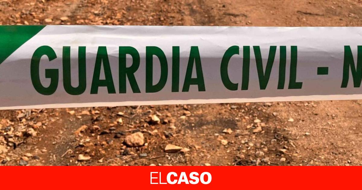 Hallan el cadáver de un hombre asesinado a golpes en Mallorca a quien