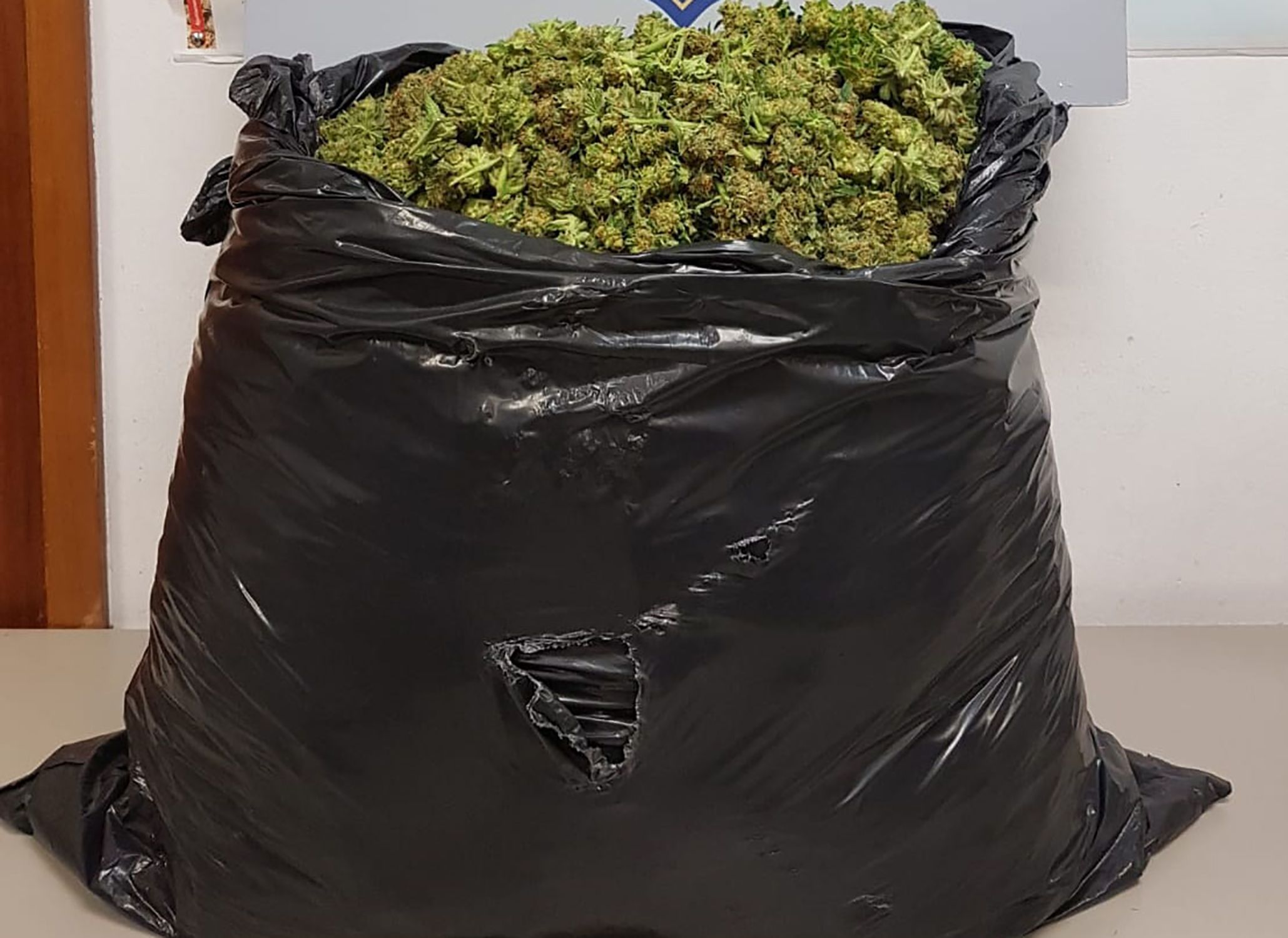 Marihuana Patinete Marihuana Patinete