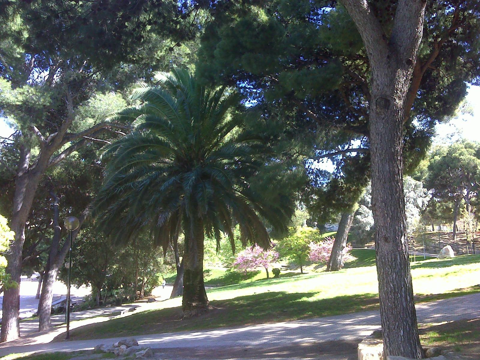 Parque Castillo Palomar / Wikipedia Parque Castillo Palomar / Wikipedia