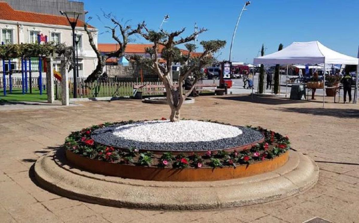 Plaza O Corgo Plaza O Corgo