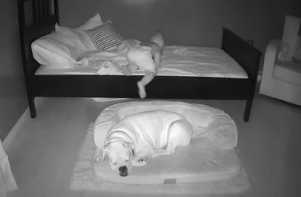 Niño baja cama / YouTube Niño baja cama / YouTube