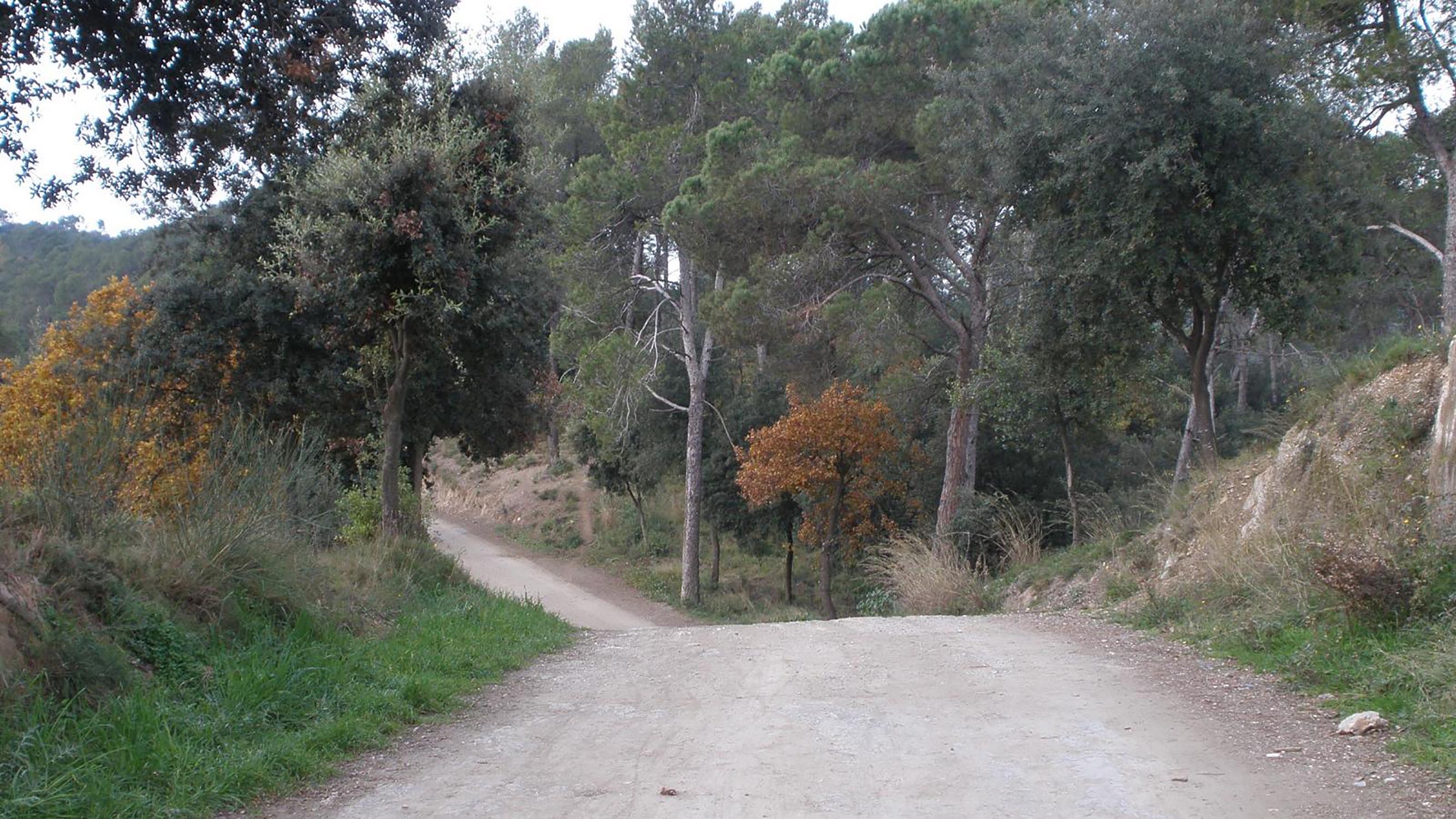 Pista Forestal Collserola