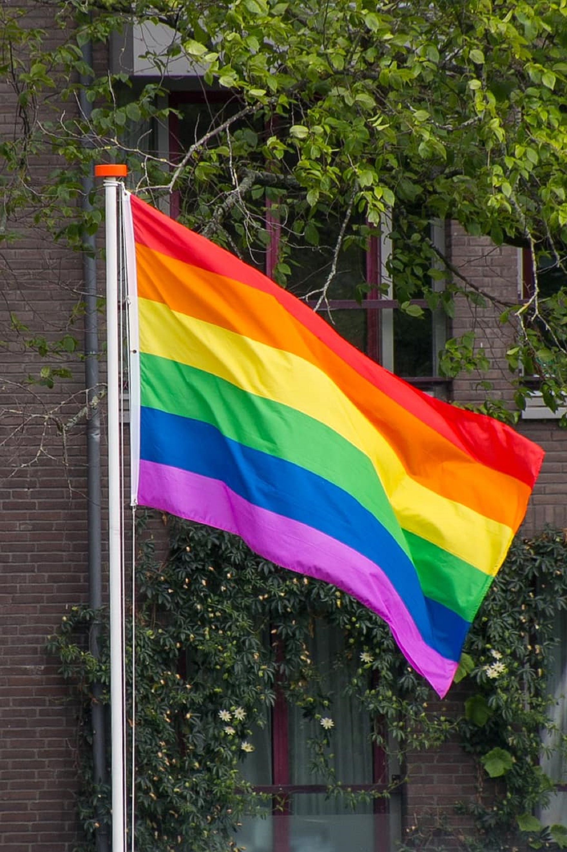 Bandera LGTB / Pìkist Bandera LGTB / Pìkist
