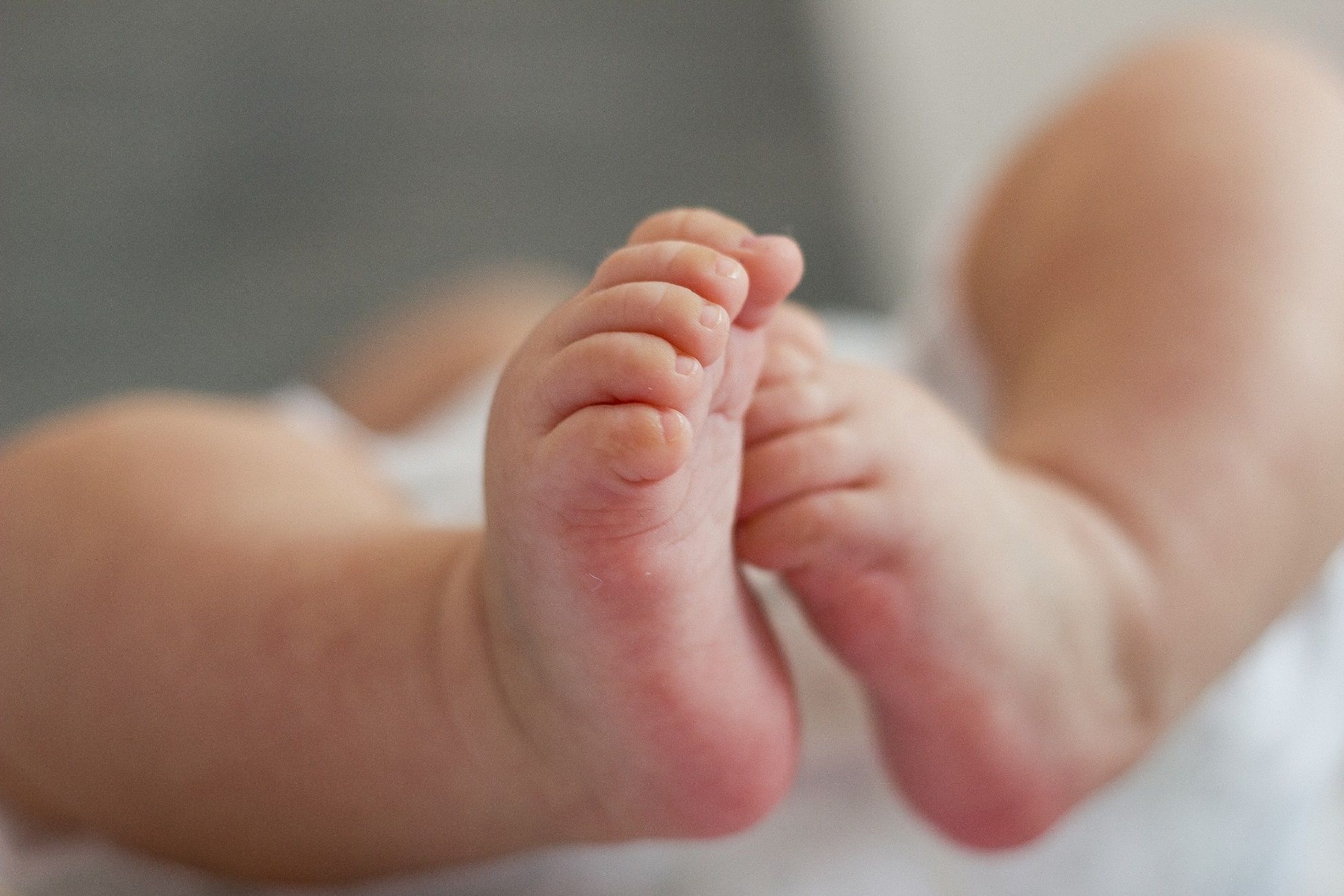Bebe Pies / Pixabay Bebe Pies / Pixabay
