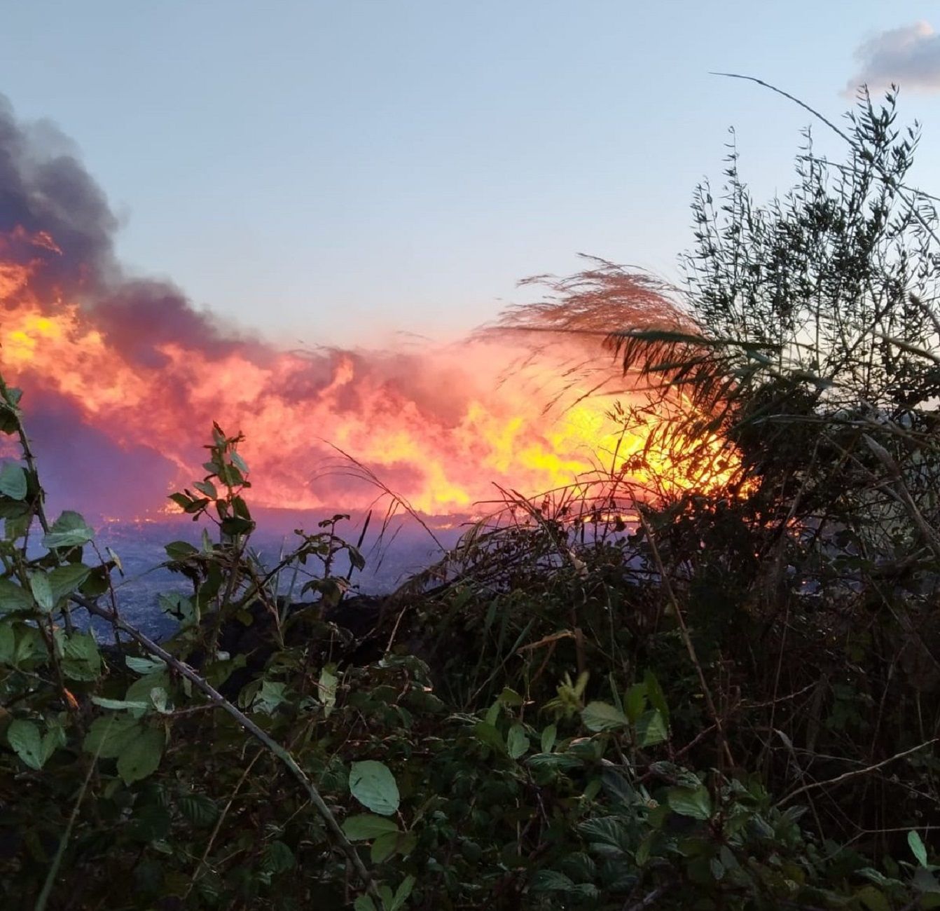 Incendi Mallorca / Twitter Incendi Mallorca / Twitter