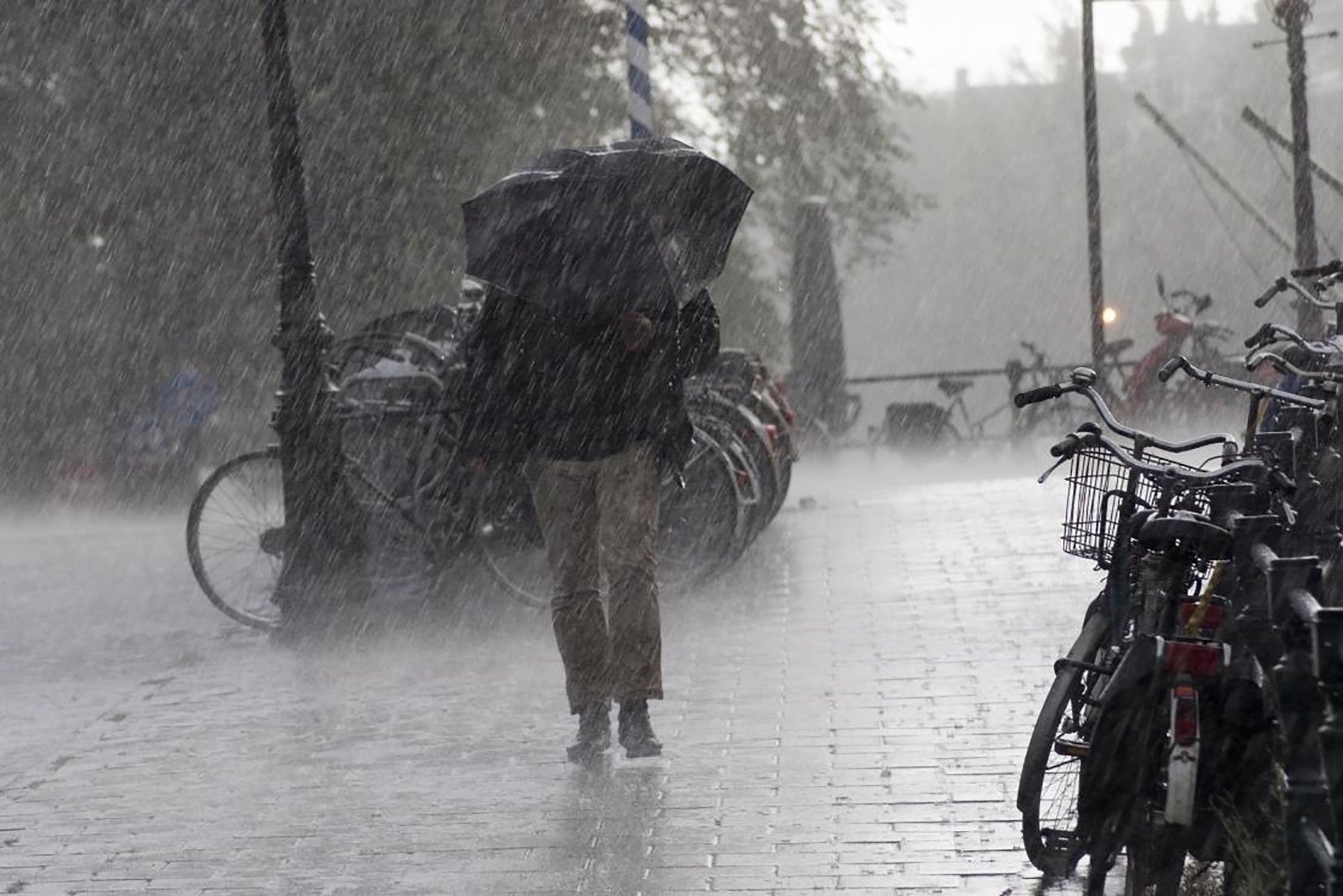 Lluvia Otoño Paraguas - Previsión del Tiempo - EFE Lluvia Otoño Paraguas - Previsión del Tiempo - EFE