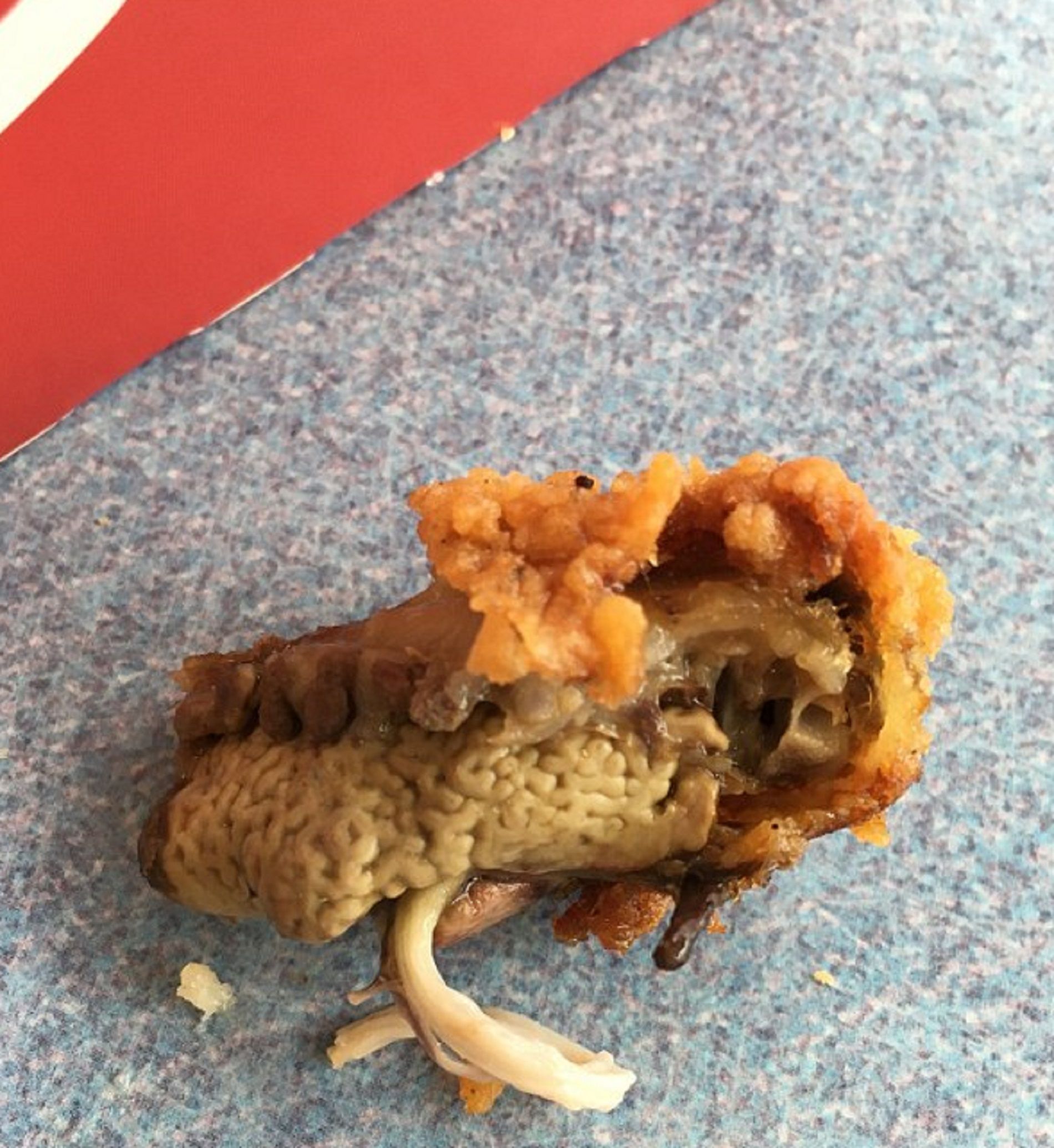 Pulmón en el pollo del KFC / Marc Nicholls Pulmón en el pollo del KFC / Marc Nicholls
