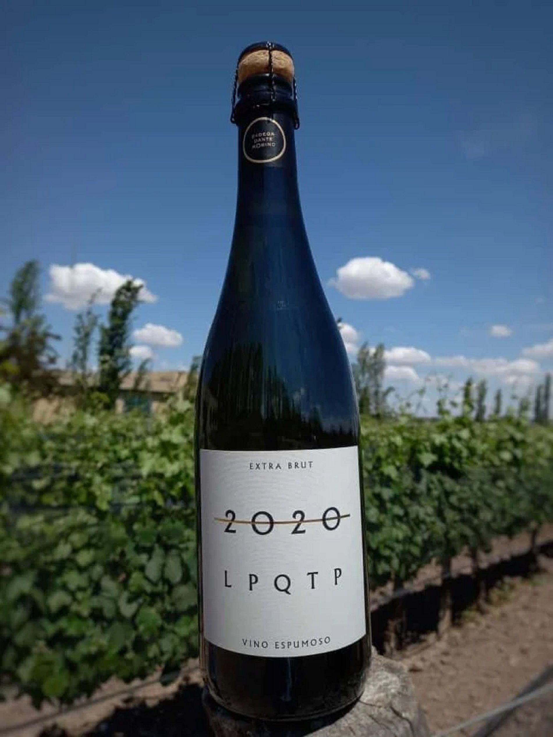 Cava La Puta Que Te Parió 2020 / Dante Orbino Cava La Puta Que Te Parió 2020 / Dante Orbino