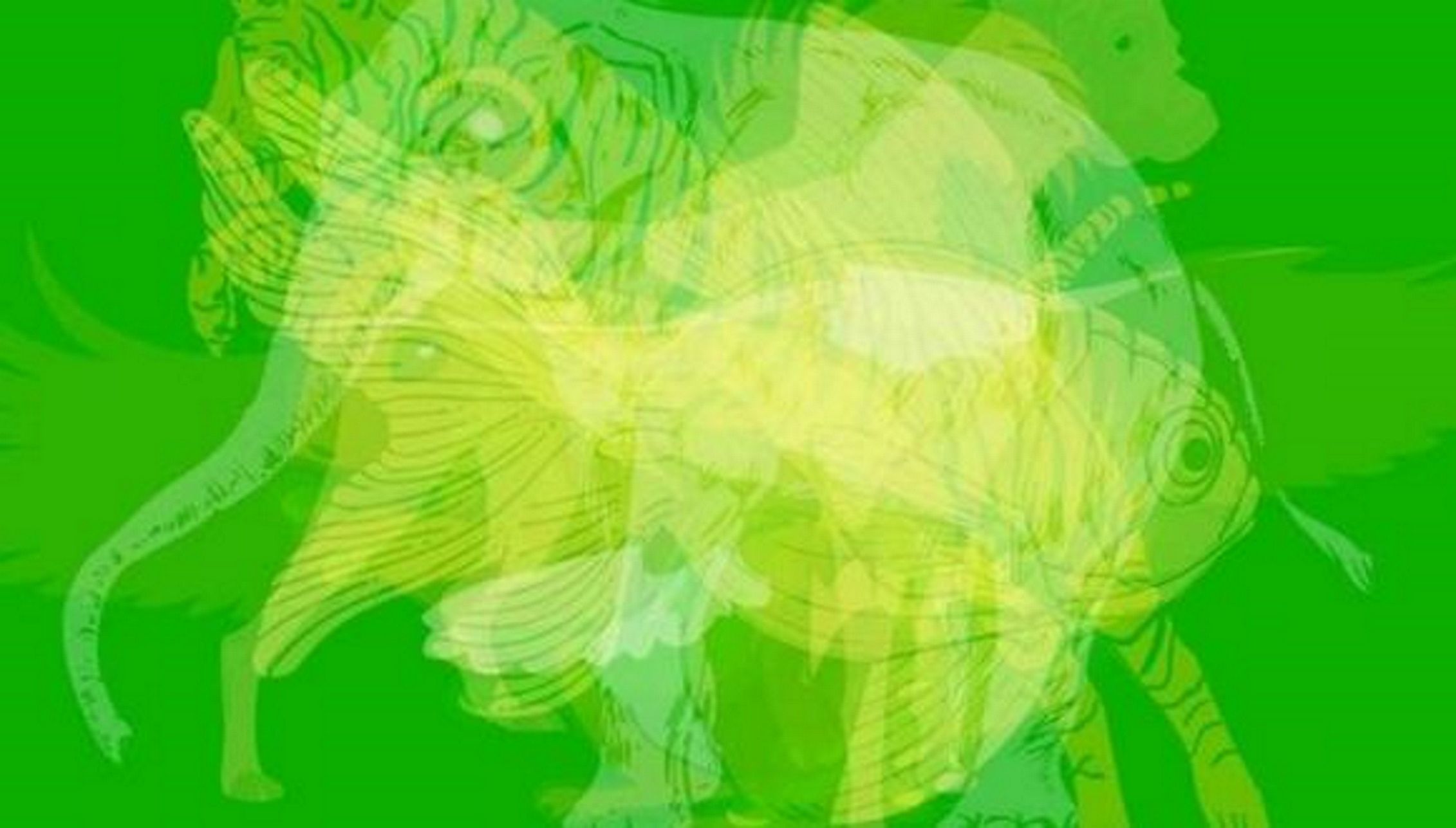 Reto viral: el primer animal que veas define tu personalidad / iProfesional Reto viral: el primer animal que veas define tu personalidad / iProfesional