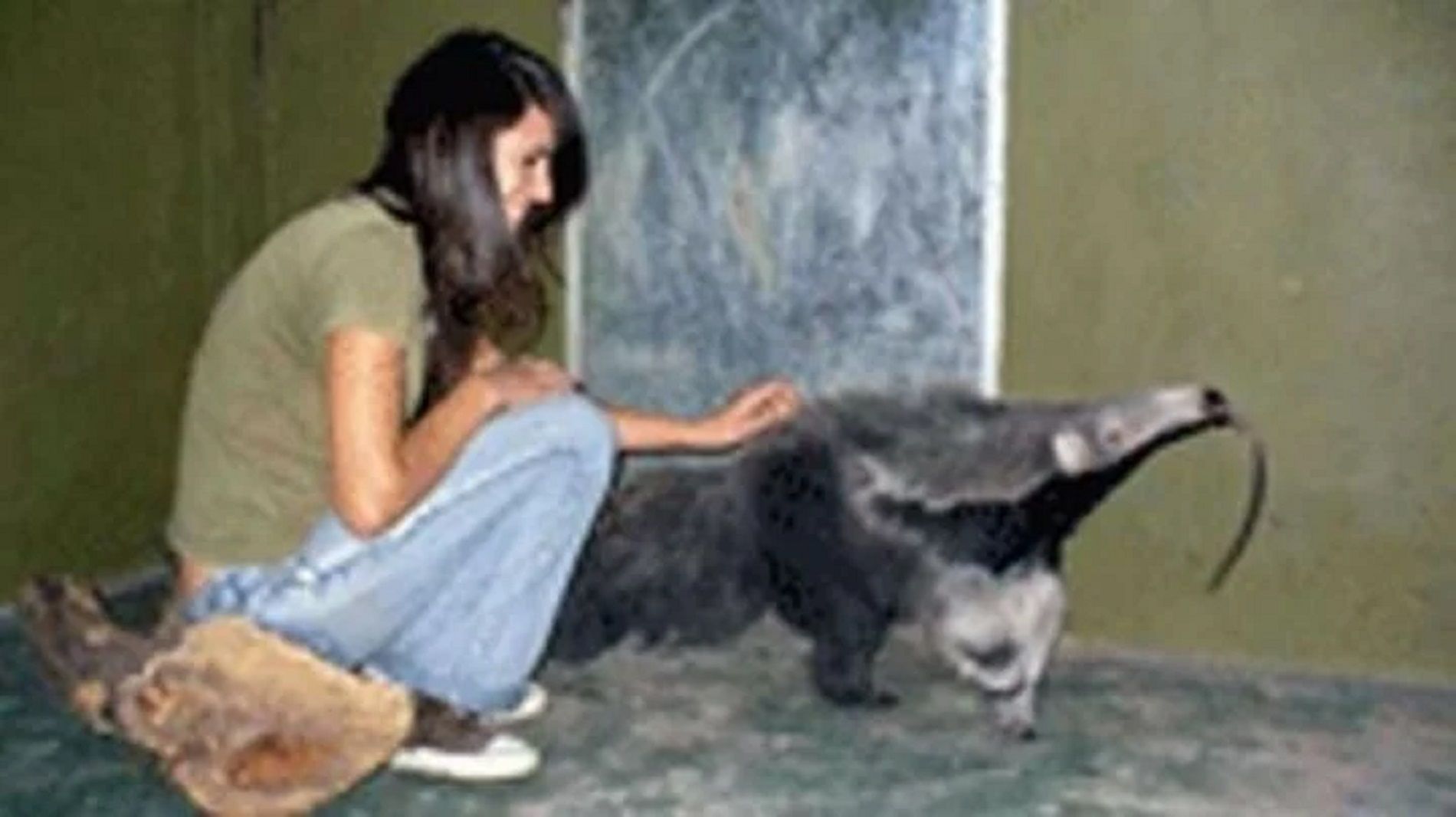 Melisa Noelia Casto / Arxiu Melisa Noelia Casto / Arxiu