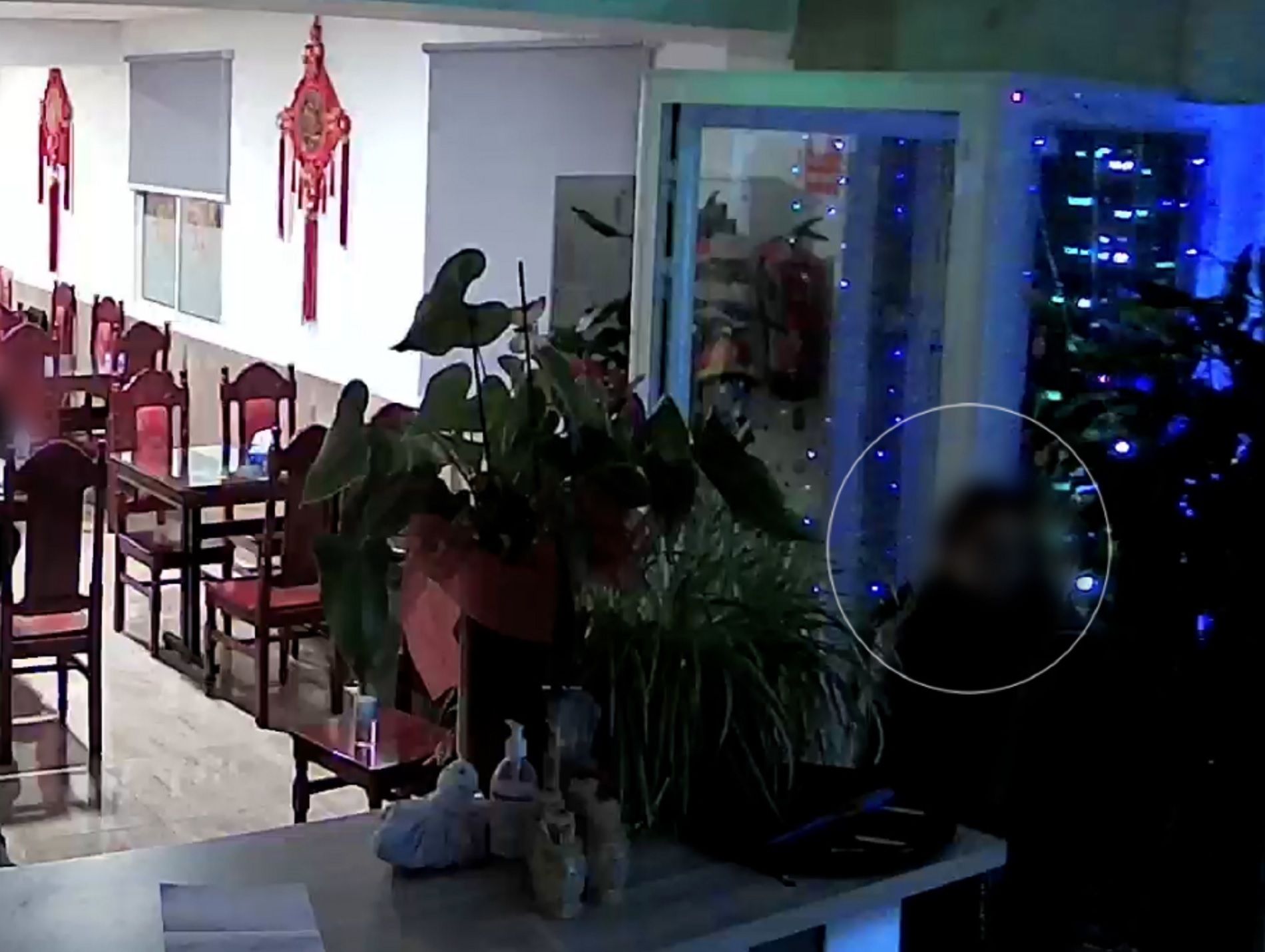 Ladrona restaurante Tarragona / Mossos d'Esquadra Ladrona restaurante Tarragona / Mossos d'Esquadra