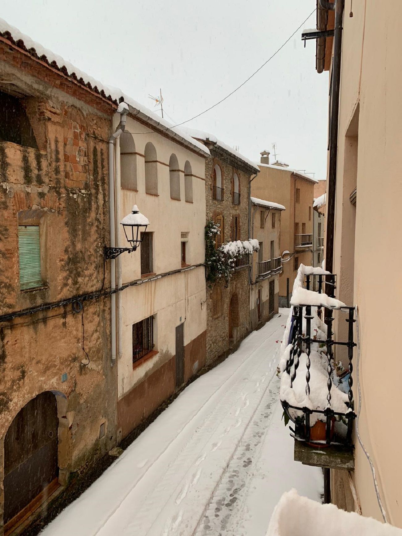 Nieve Priorat 2021/ Carolina Monreal Nieve Priorat 2021/ Carolina Monreal