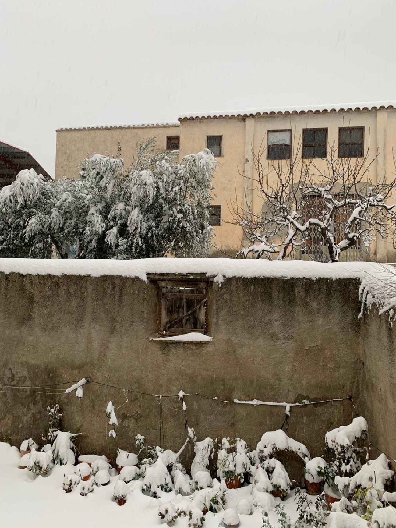 Nieve Priorat 2021 / Carolina Monreal Nieve Priorat 2021 / Carolina Monreal