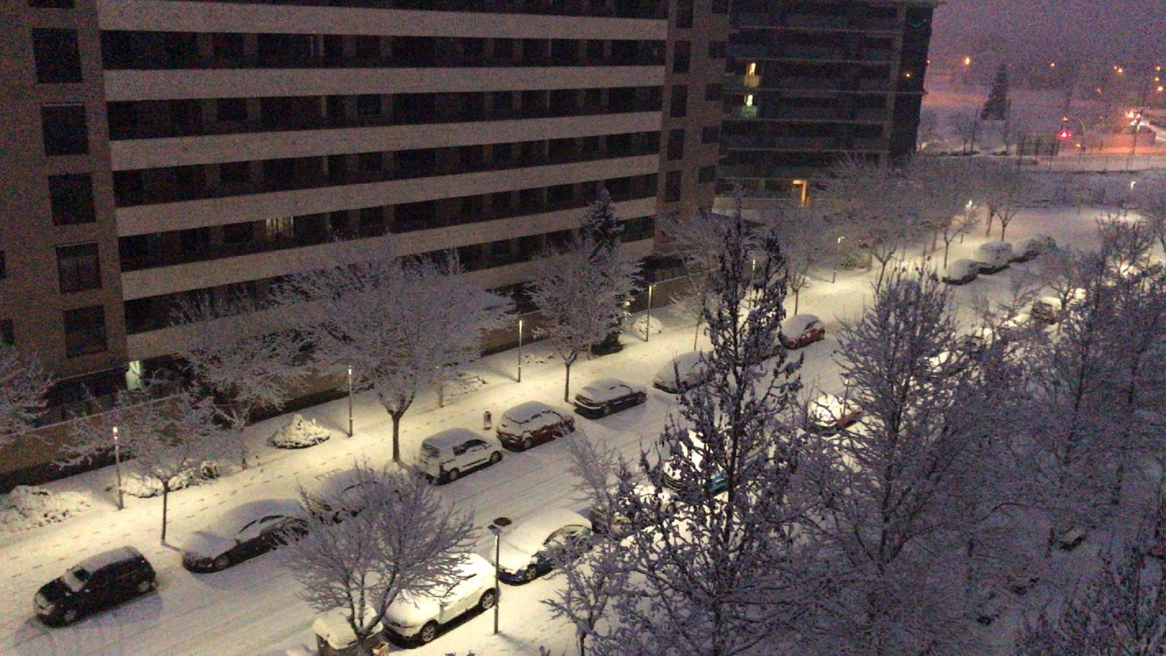 Nieve Lleida 2021 / Cel Miranda Nieve Lleida 2021 / Cel Miranda