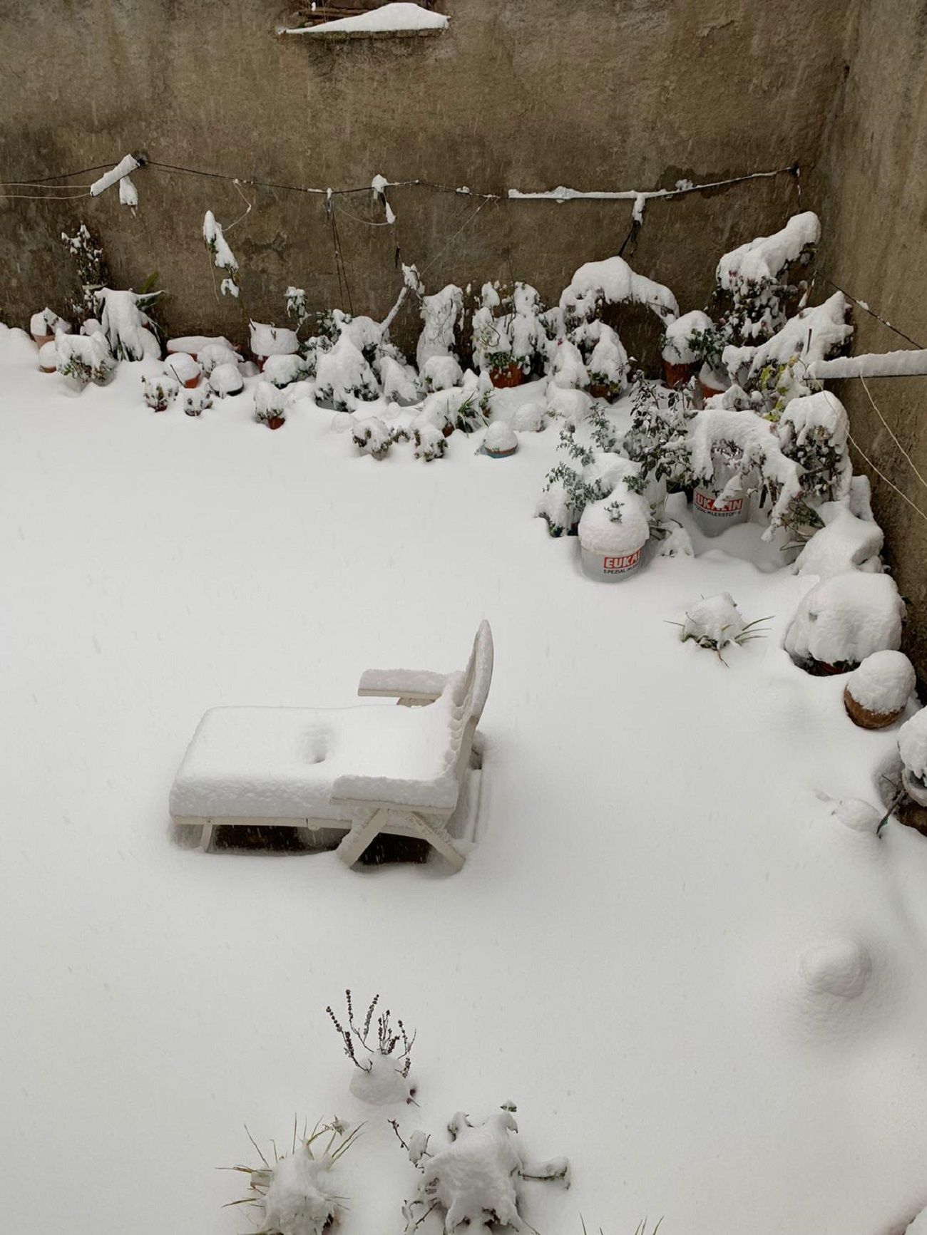 Nieve Priorat 2021 / Carolina Monreal Nieve Priorat 2021 / Carolina Monreal