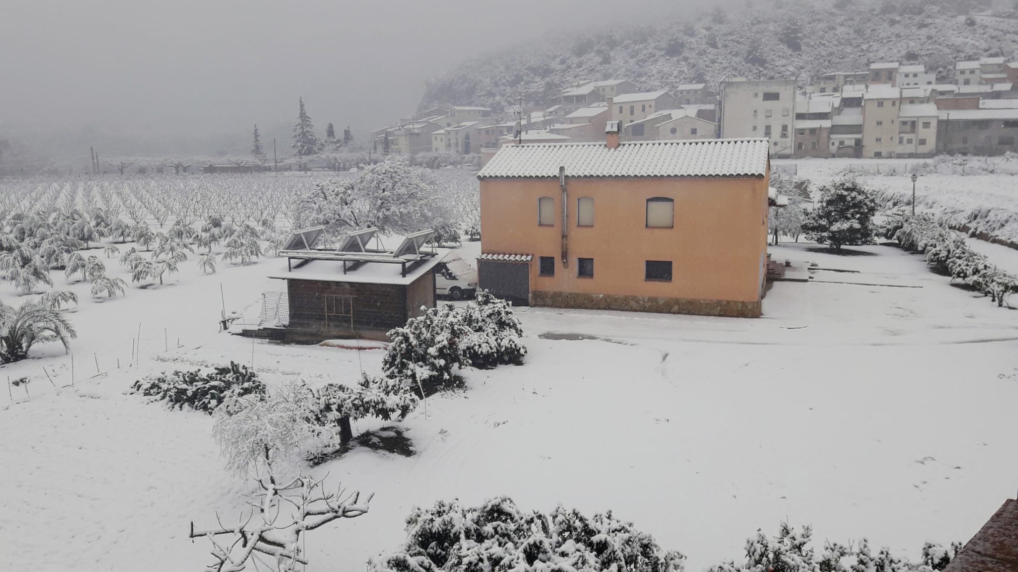 Nieve Miravent / José Antonio Balart Nieve Miravent / José Antonio Balart