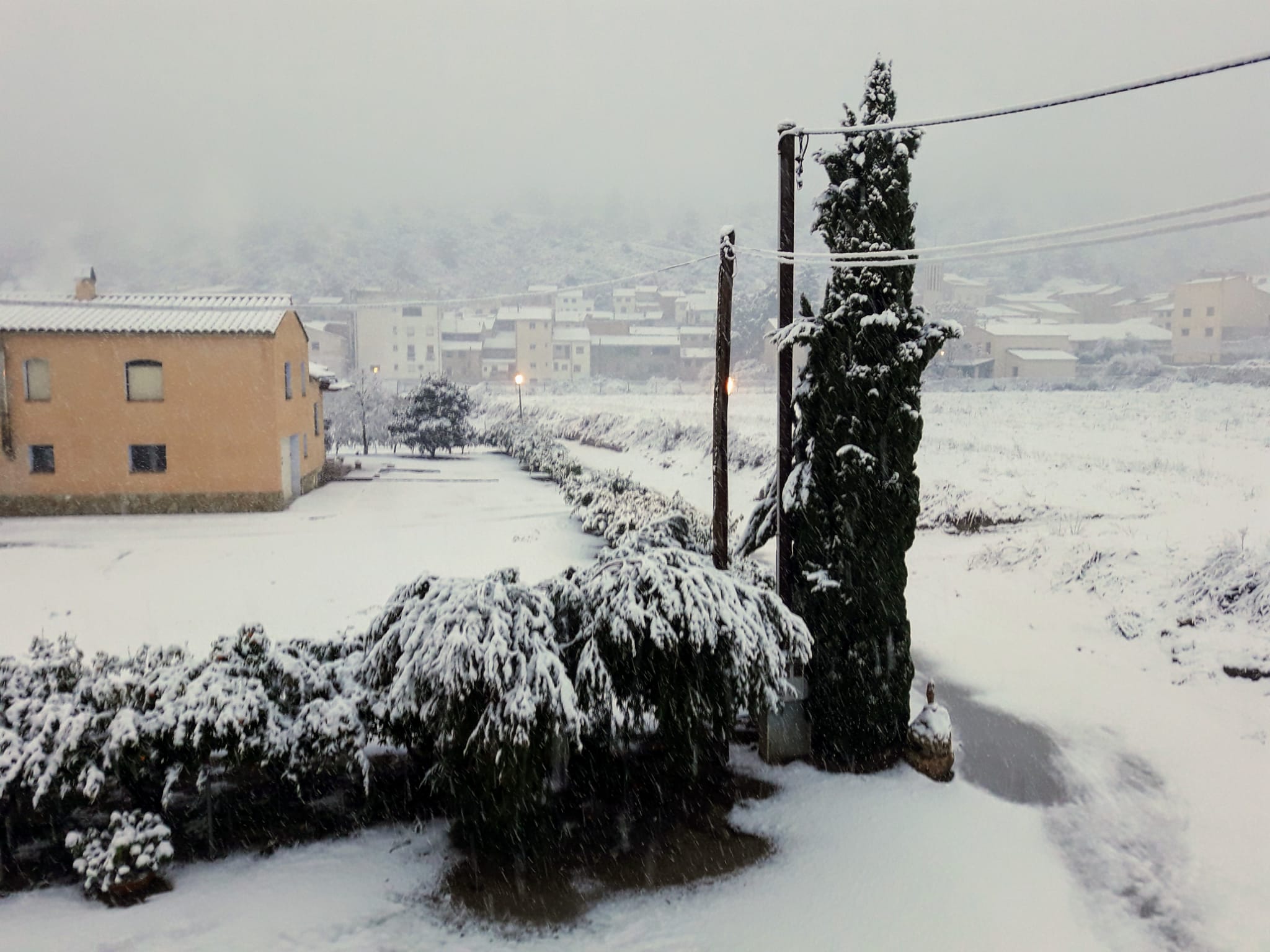 Nieve Miravent / José Antonio Balart Nieve Miravent / José Antonio Balart
