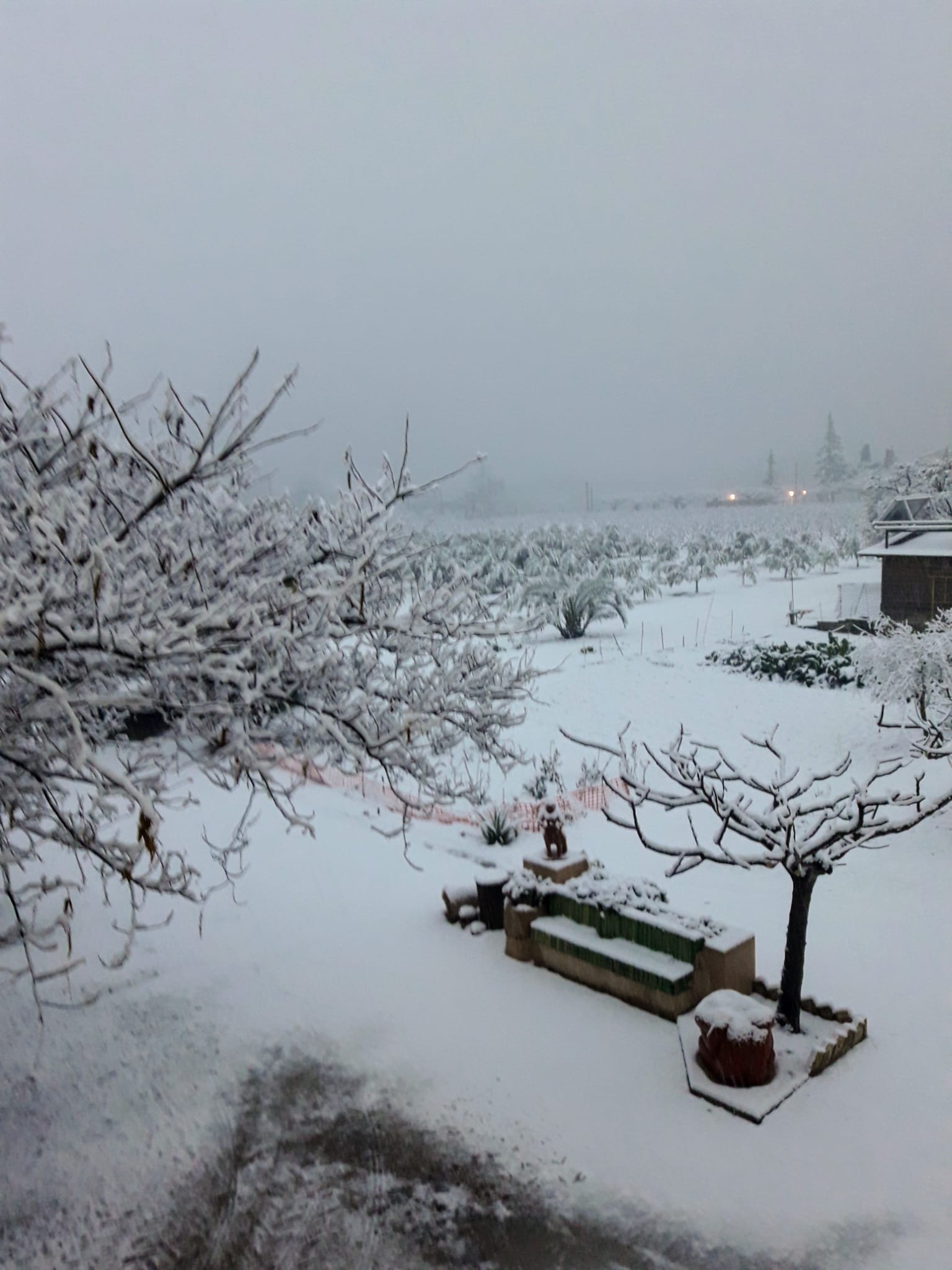 Nieve Miravent / José Antonio Balart Nieve Miravent / José Antonio Balart