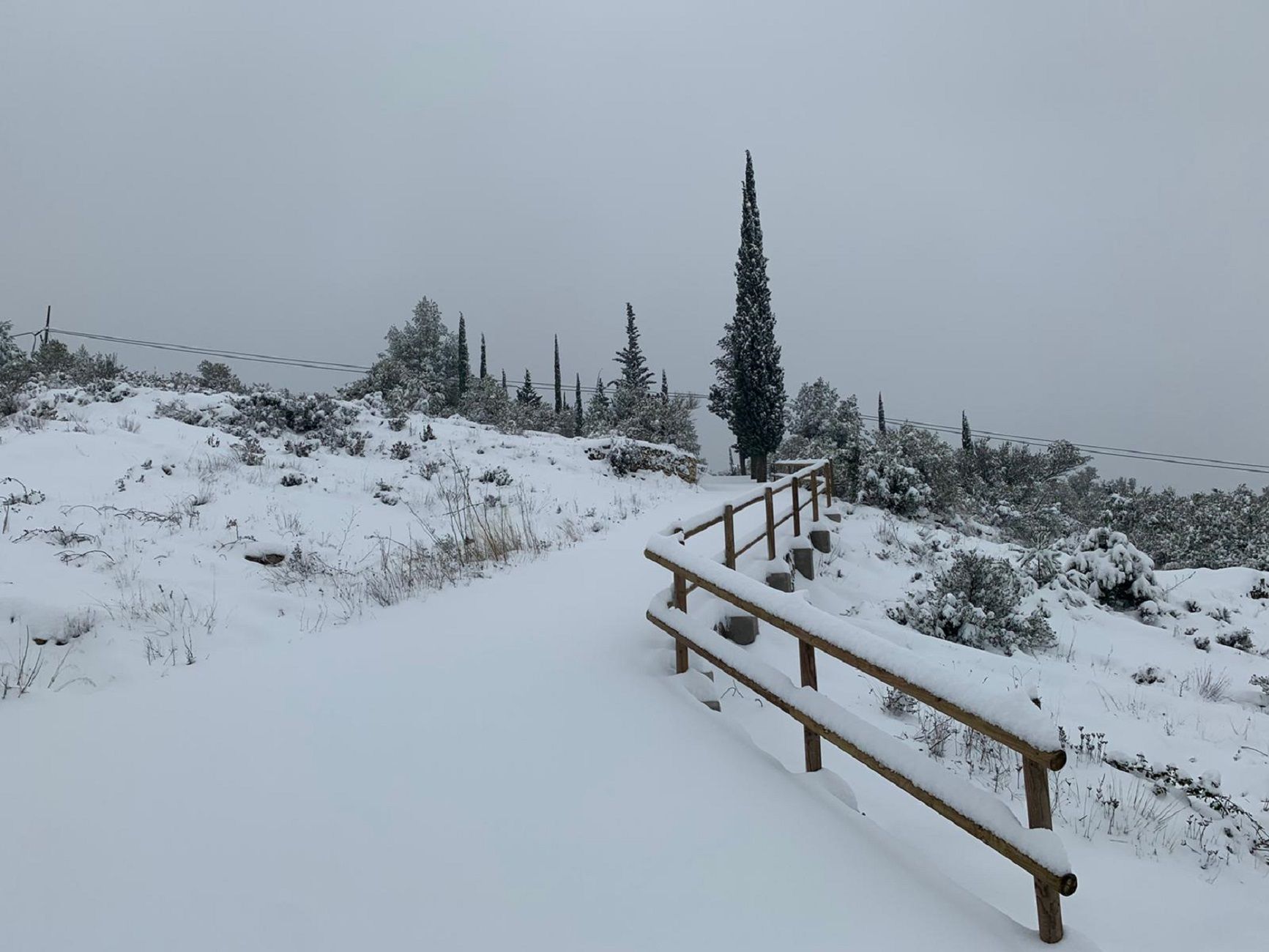 Nieve Priorat 2021 / Carolina Monreal Nieve Priorat 2021 / Carolina Monreal