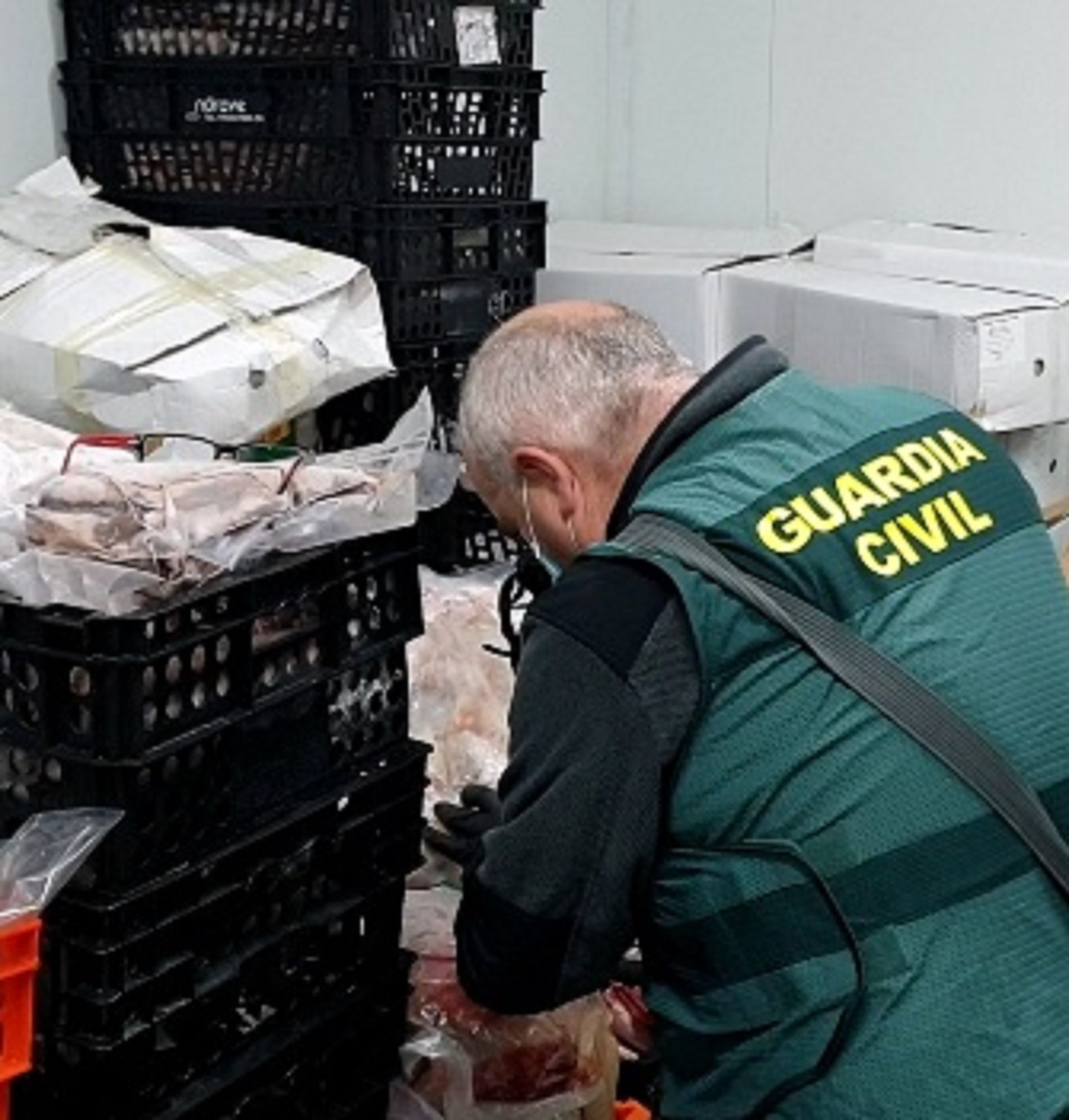 Operación Pintaza / Guardia Civil Operación Pintaza / Guardia Civil