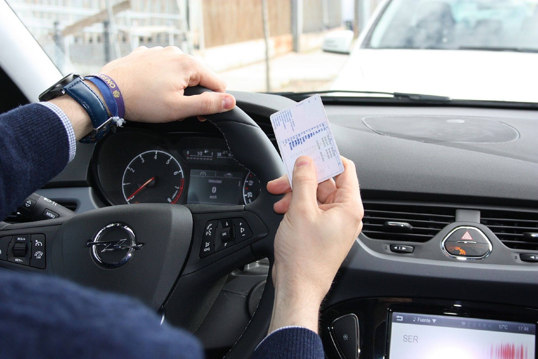 Chiva examen coche / Pixabay Chiva examen coche / Pixabay