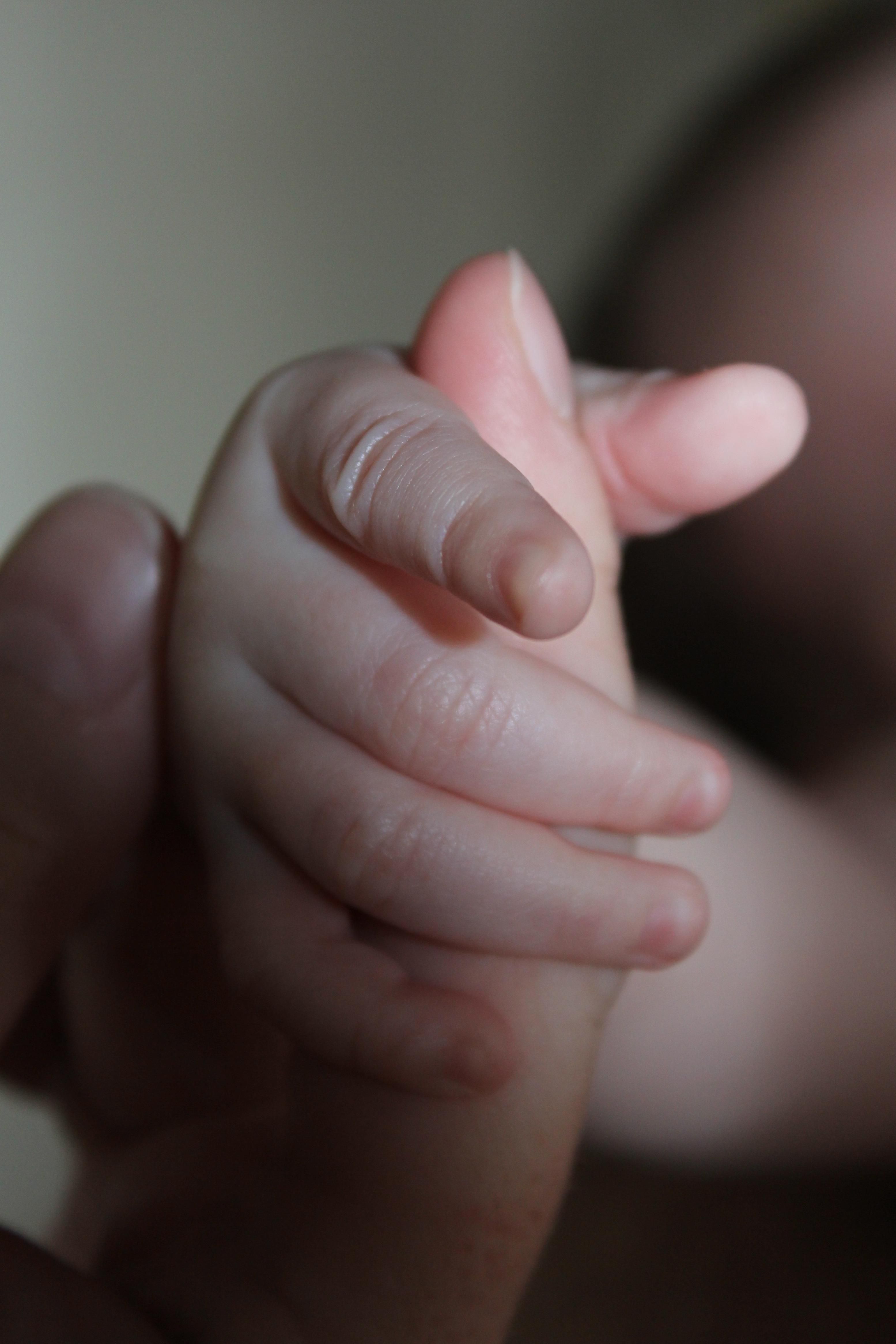 Mano bebé / Pixnio Mano bebé / Pixnio