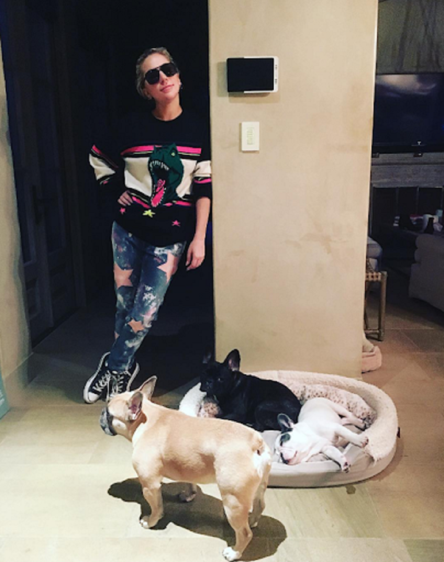 Lady Gaga / Cedida Lady Gaga / Cedida