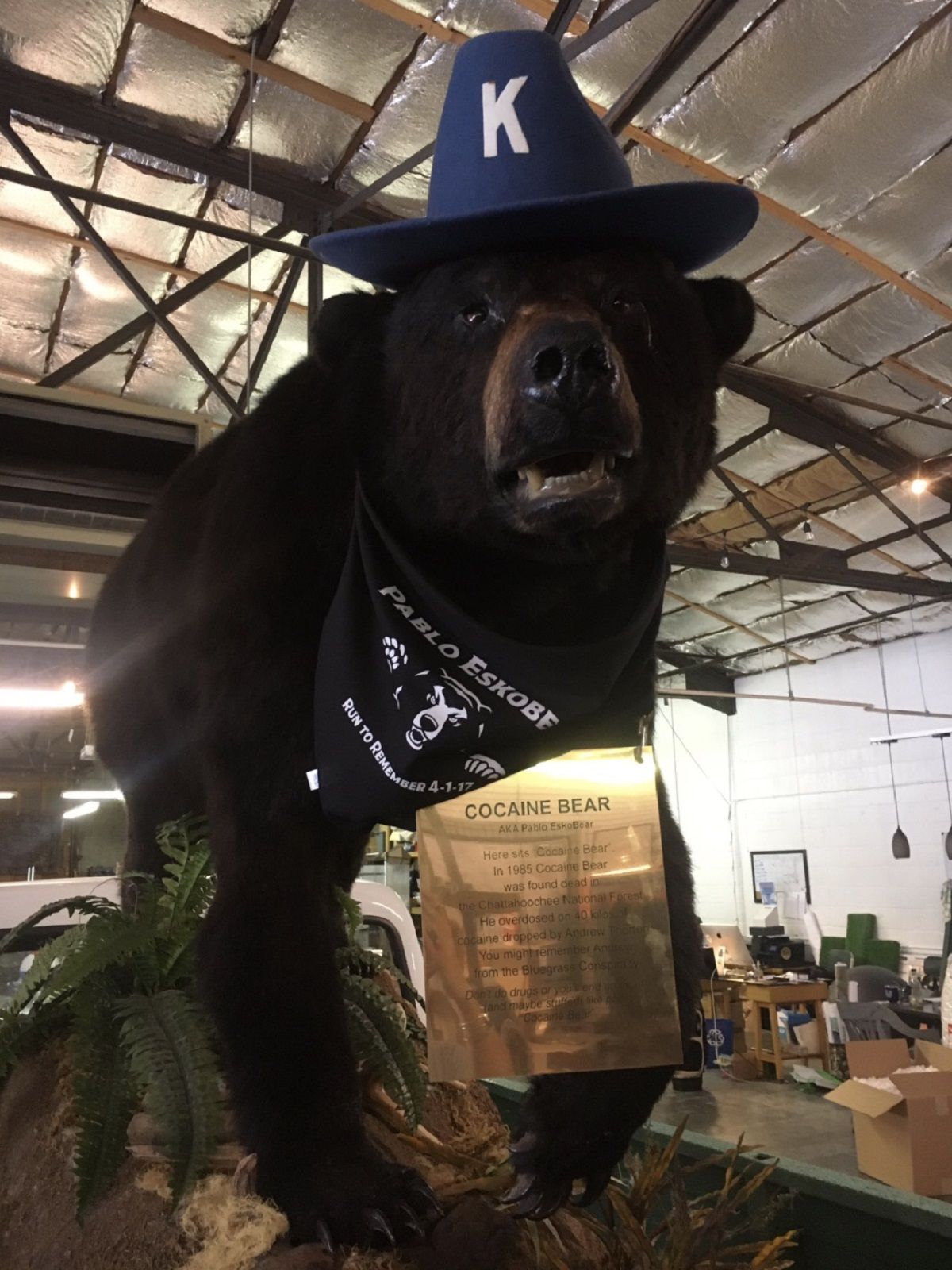 Cocaine Bear Showtimes Near Regal Gulf Coast - gk1wvir