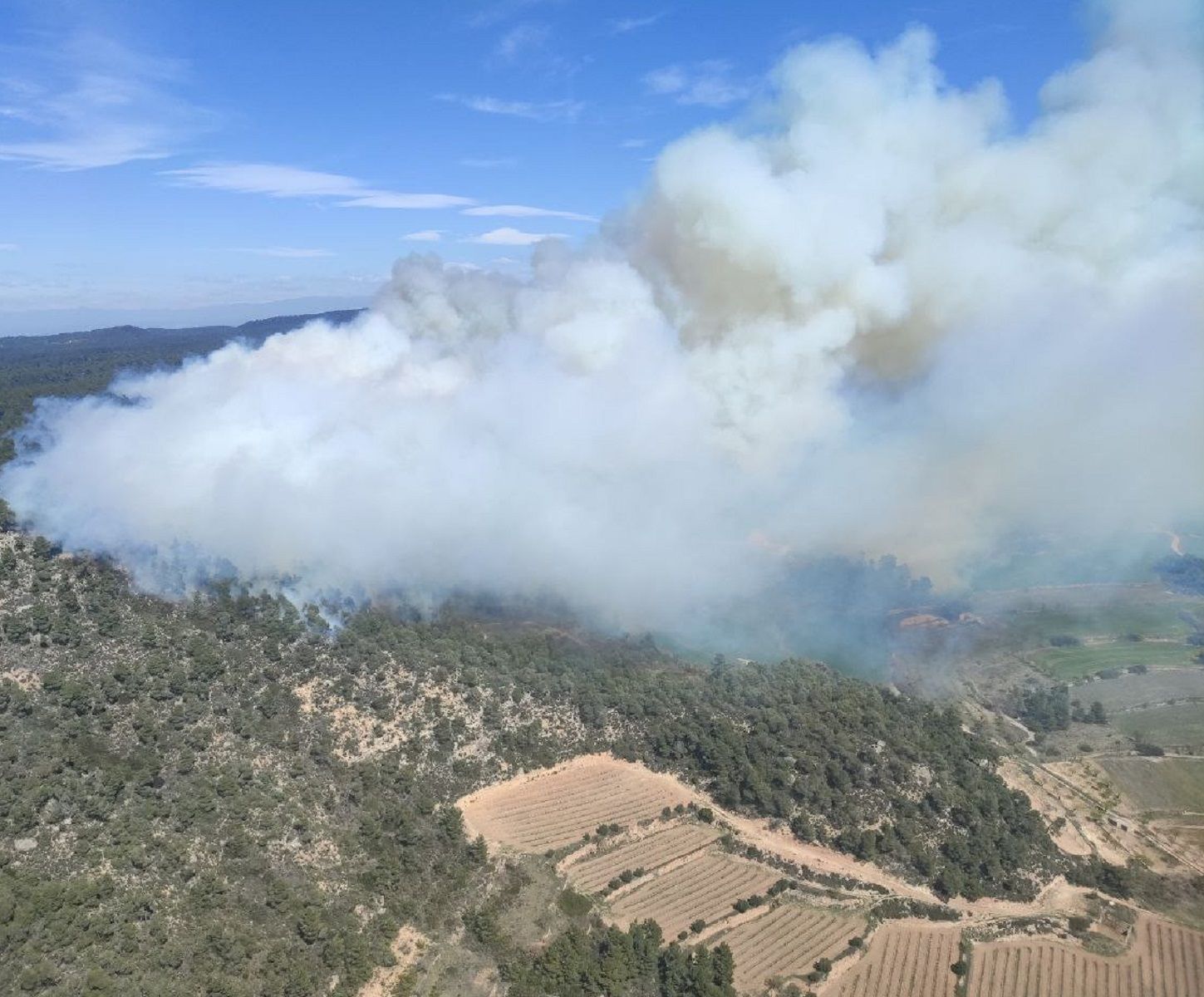Incendio Conca de Barberà / Bombers Incendio Conca de Barberà / Bombers