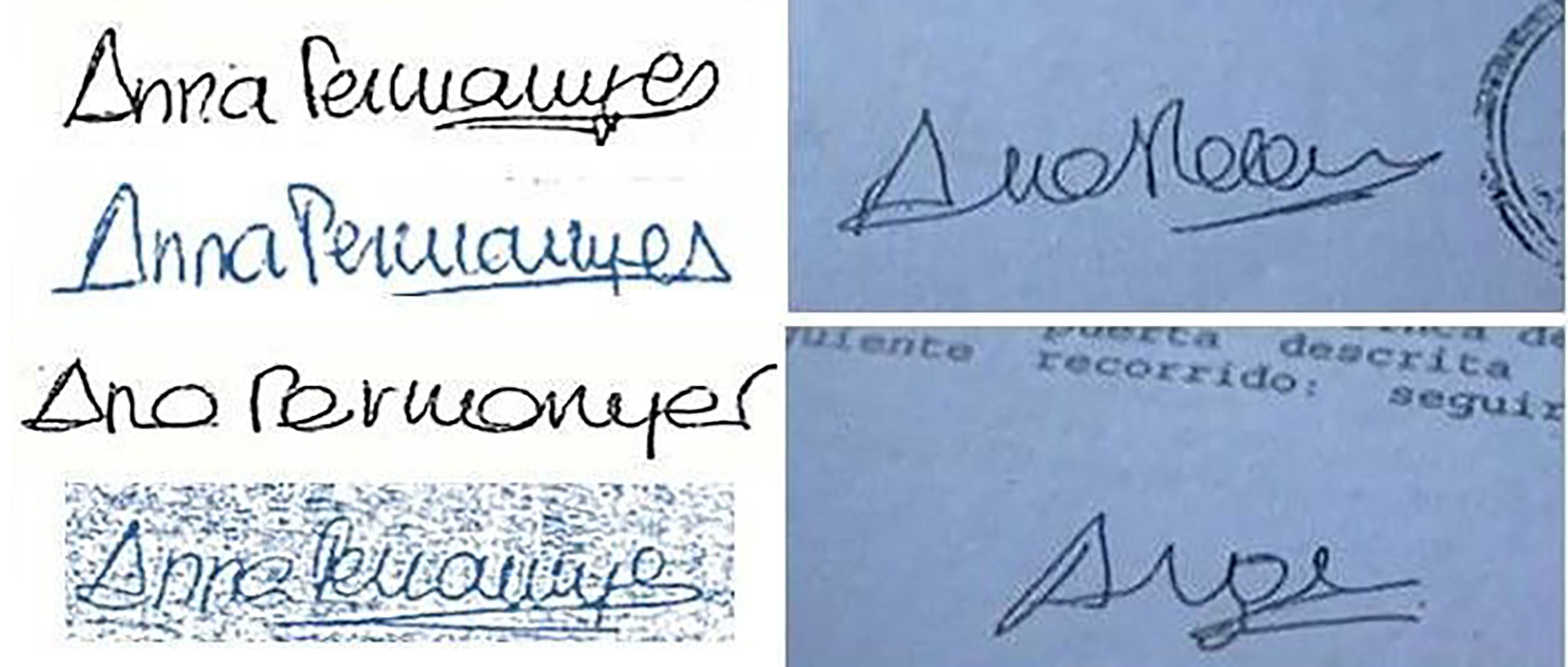 Firma Anna Permanyer Firma Anna Permanyer
