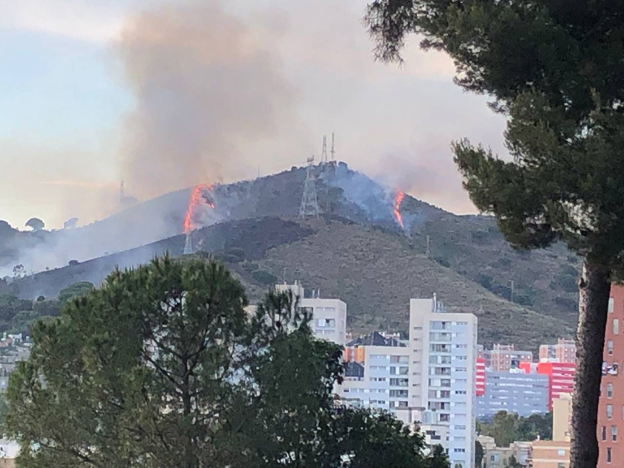 Incendi Collserola / Sergi Sabate Incendi Collserola / Sergi Sabate