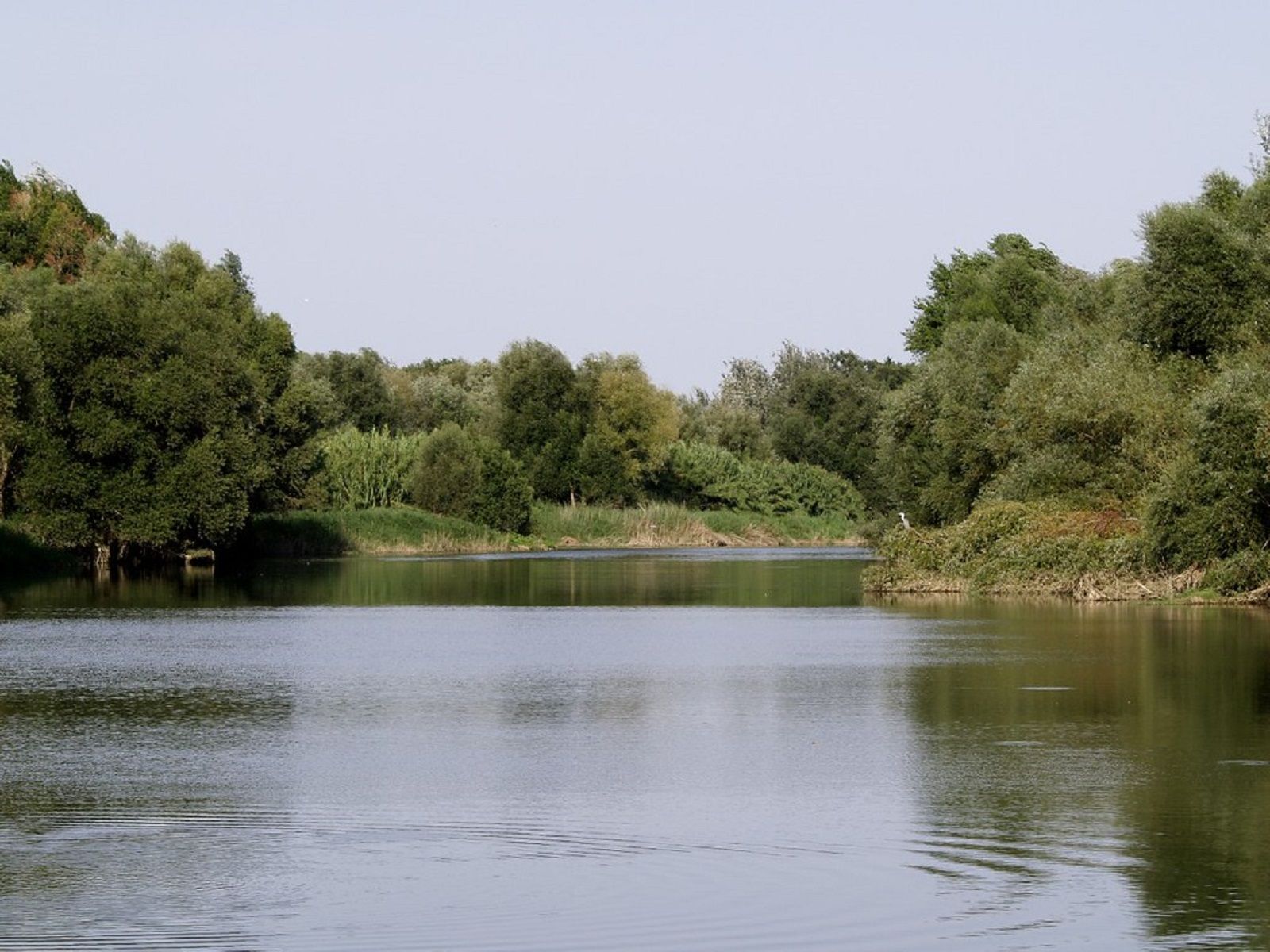 Río Segre / Flickr Río Segre / Flickr