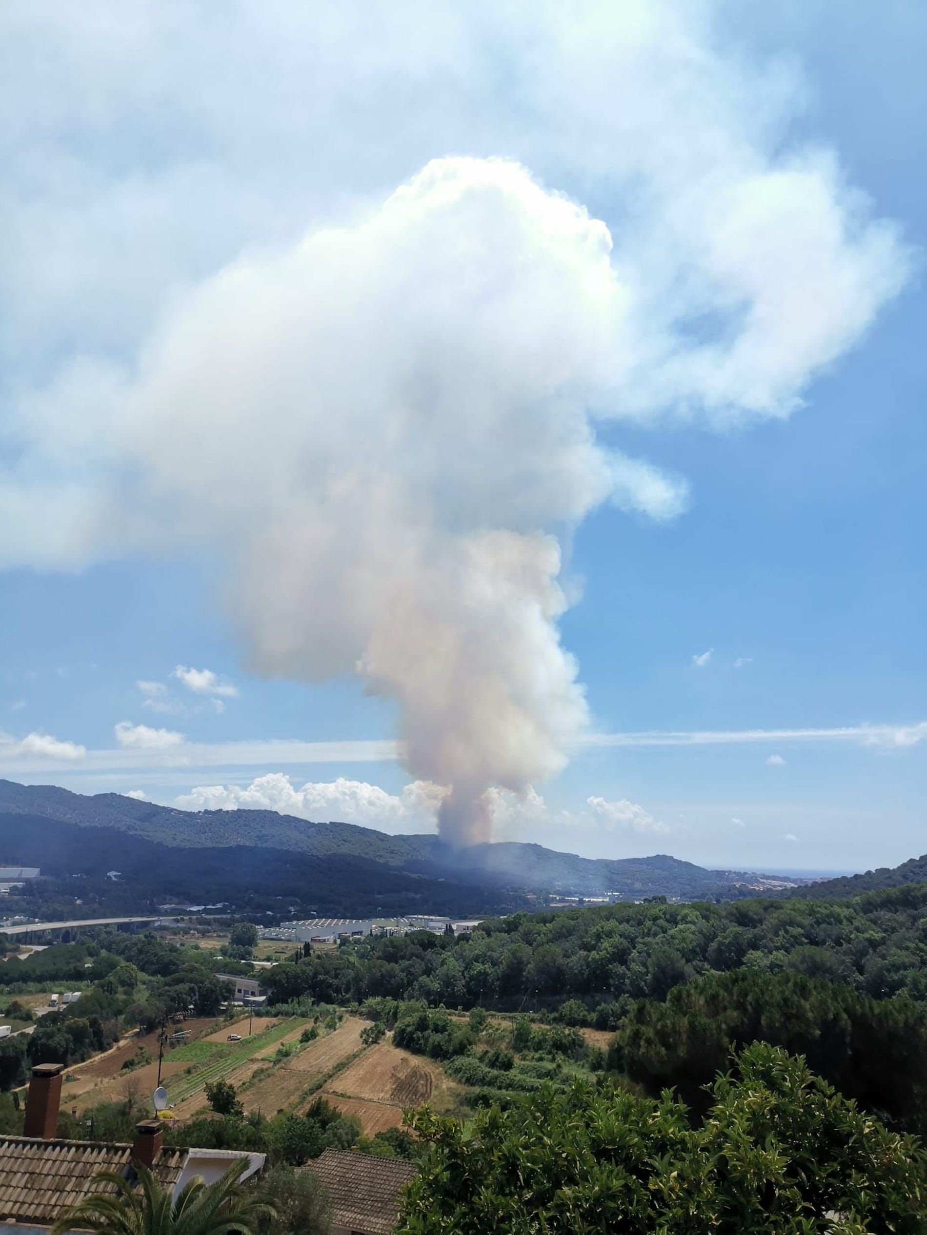 Incendio Argentona / Cedida Incendio Argentona / Cedida