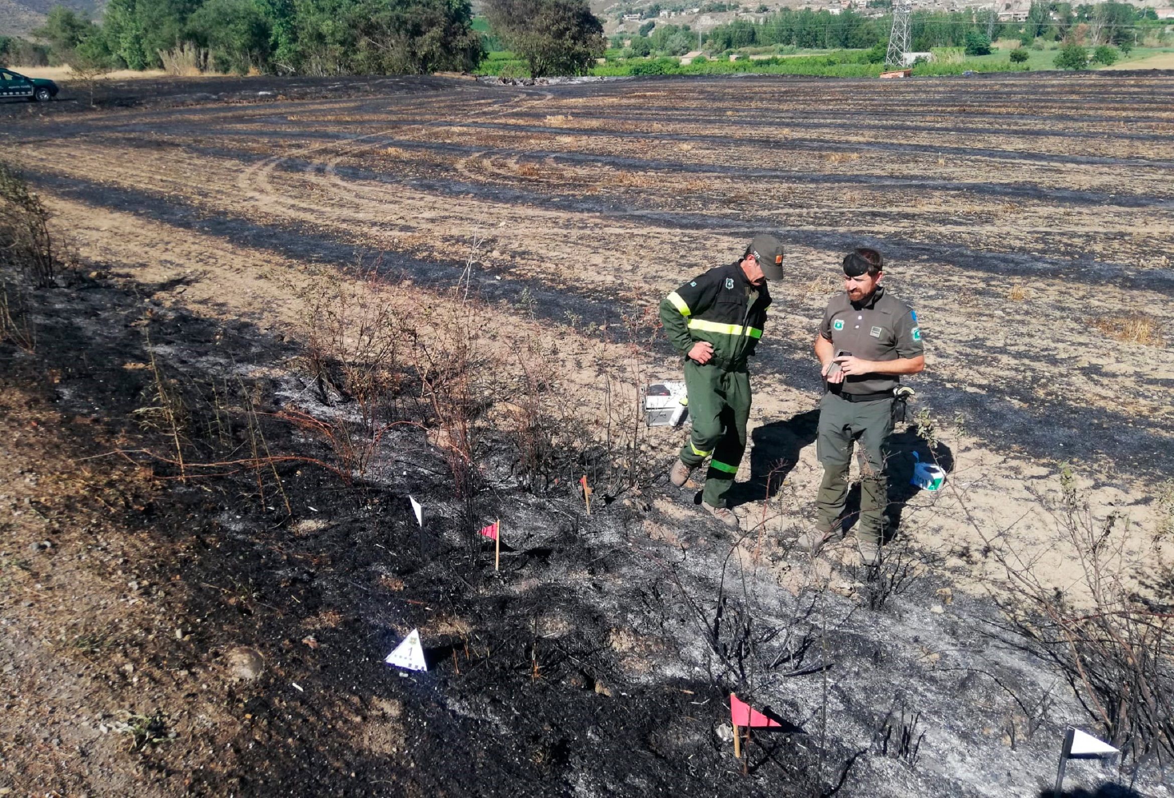 Incendio Alfarràs / Agentes Rurales Incendio Alfarràs / Agentes Rurales