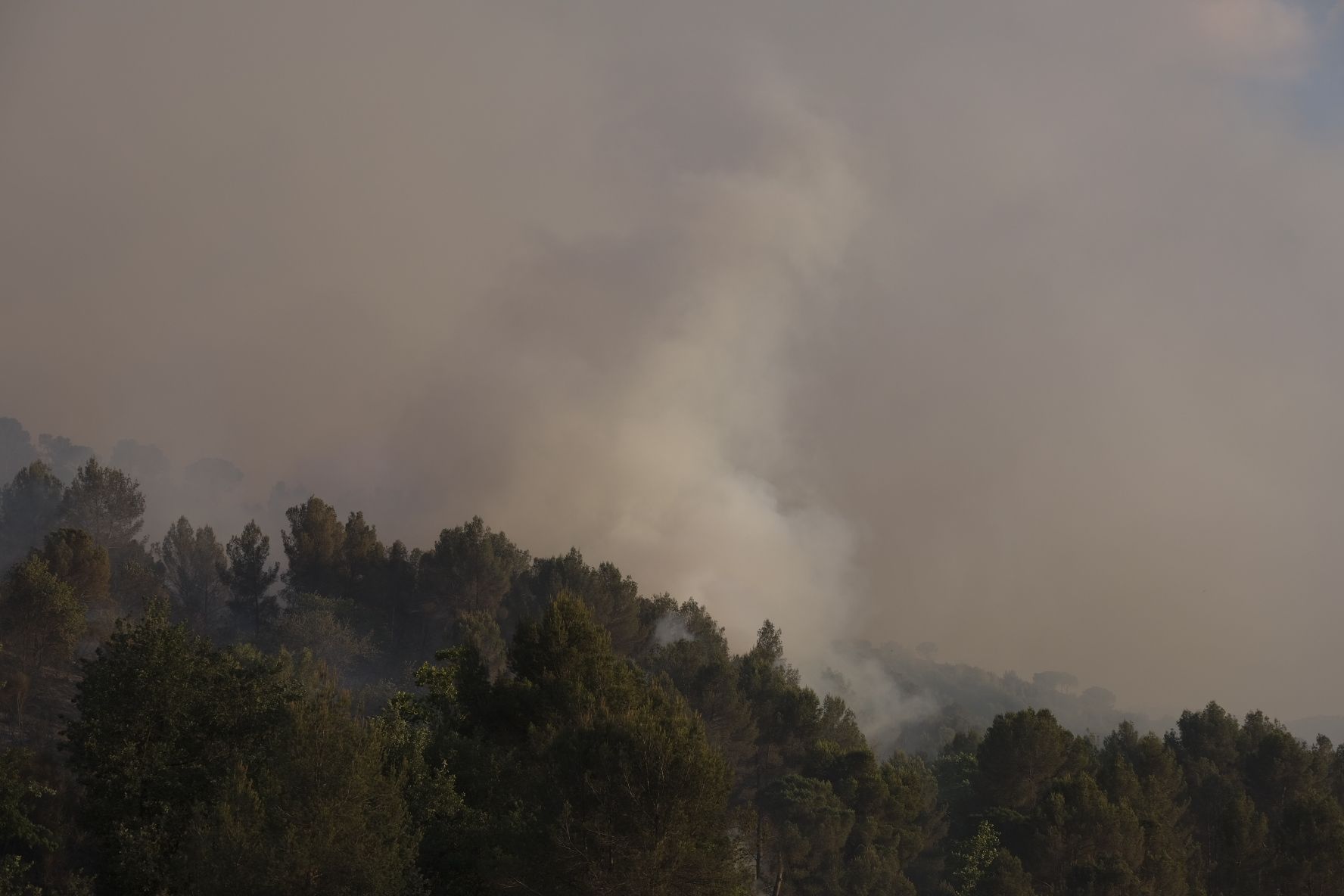 Incendi Martorell i Castellví / Carlos Baglietto Incendi Martorell i Castellví / Carlos Baglietto
