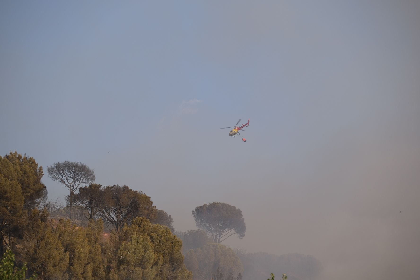 Incendi Castellví i Martorell / Carlos Baglietto Incendi Castellví i Martorell / Carlos Baglietto