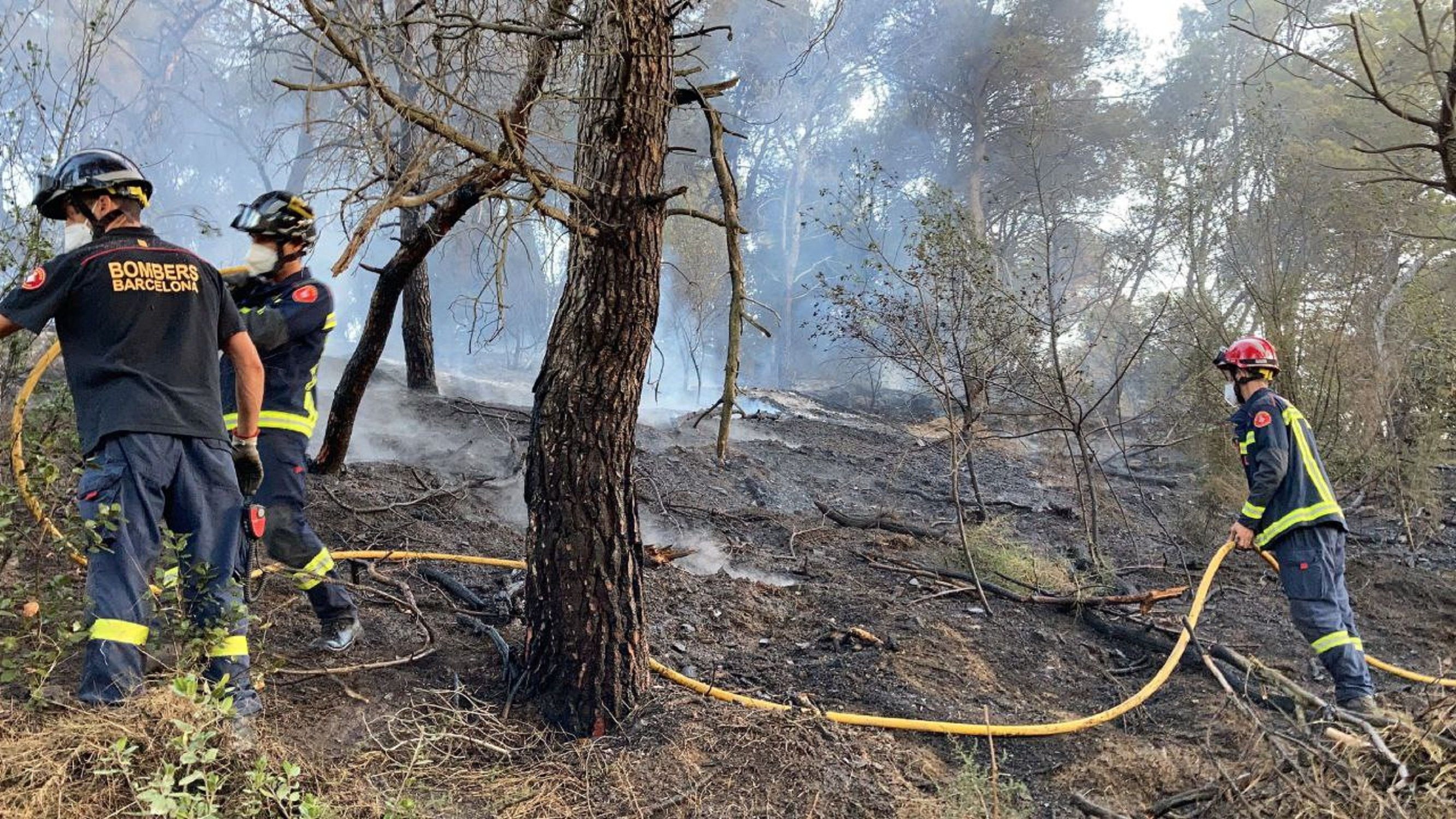 Incendi Collserola / Bombers Barcelona Incendi Collserola / Bombers Barcelona