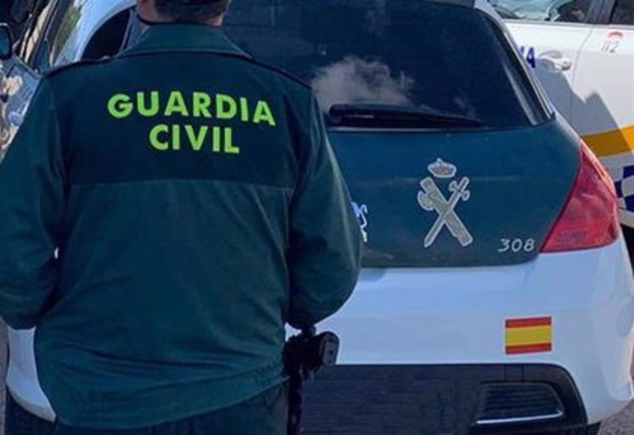 guardia civil hombre y coche / Europa Press guardia civil hombre y coche / Europa Press