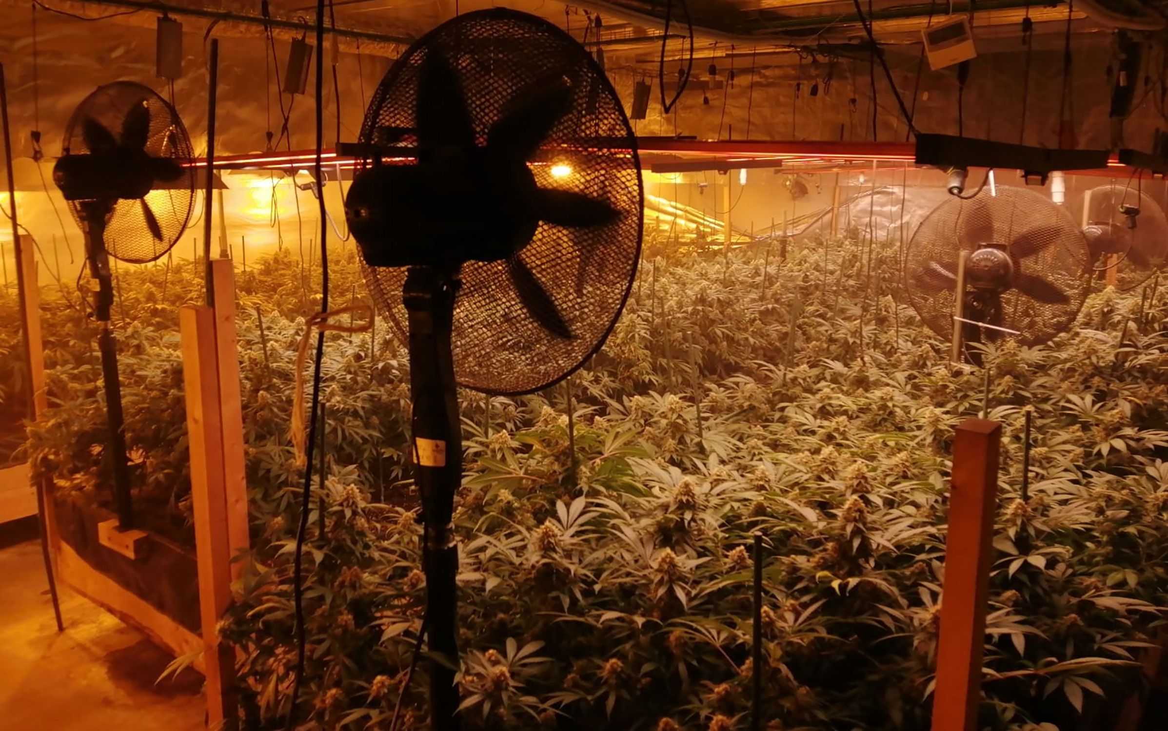 Incendi Vic / Marihuana Incendi Vic / Marihuana