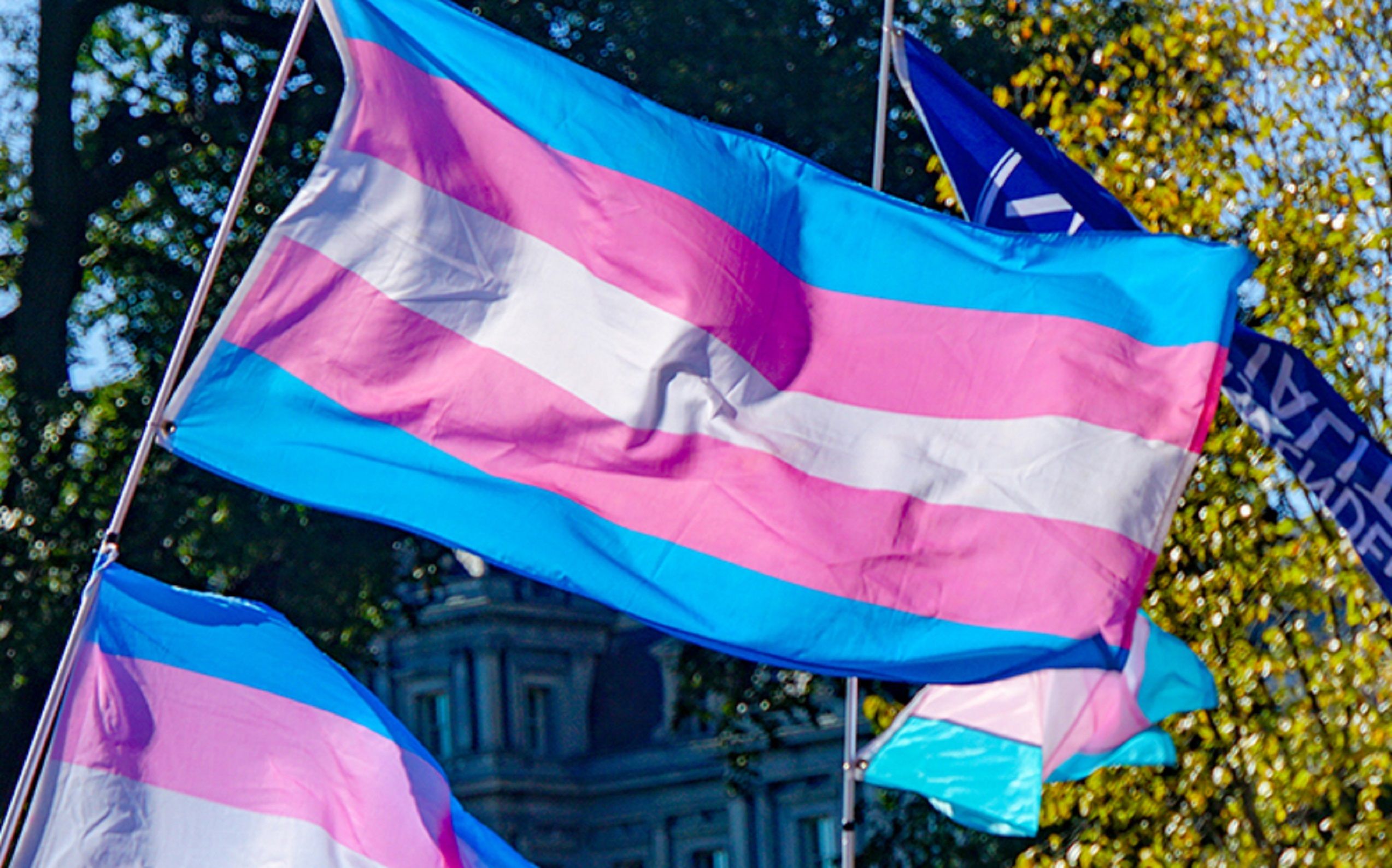 Bandera trans / Archivo Bandera trans / Archivo