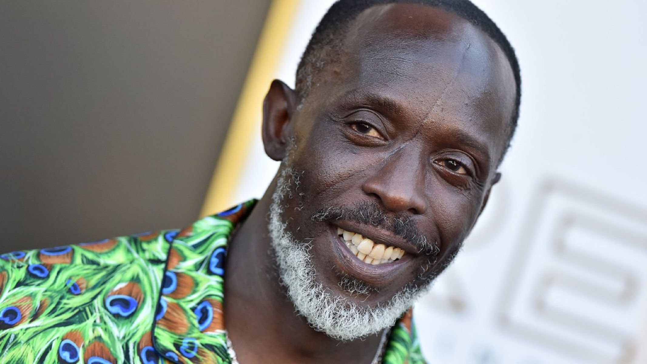 michael k. williams michael k. williams
