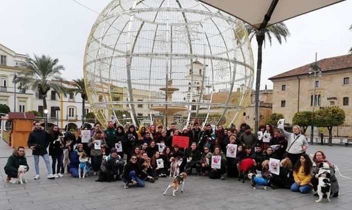 EuropaPress 1813390 Un grupo de personas se concentra en Mérida por Sota la perra abatida por un guardia urbano de Barcelona (1) EuropaPress 1813390 Un grupo de personas se concentra en Mérida por Sota la perra abatida por un guardia urbano de Barcelona (1)