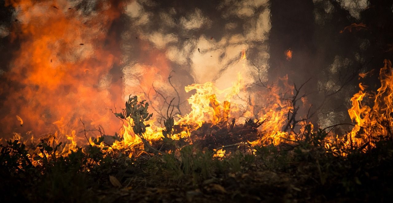 incendi forestal - pixabay
