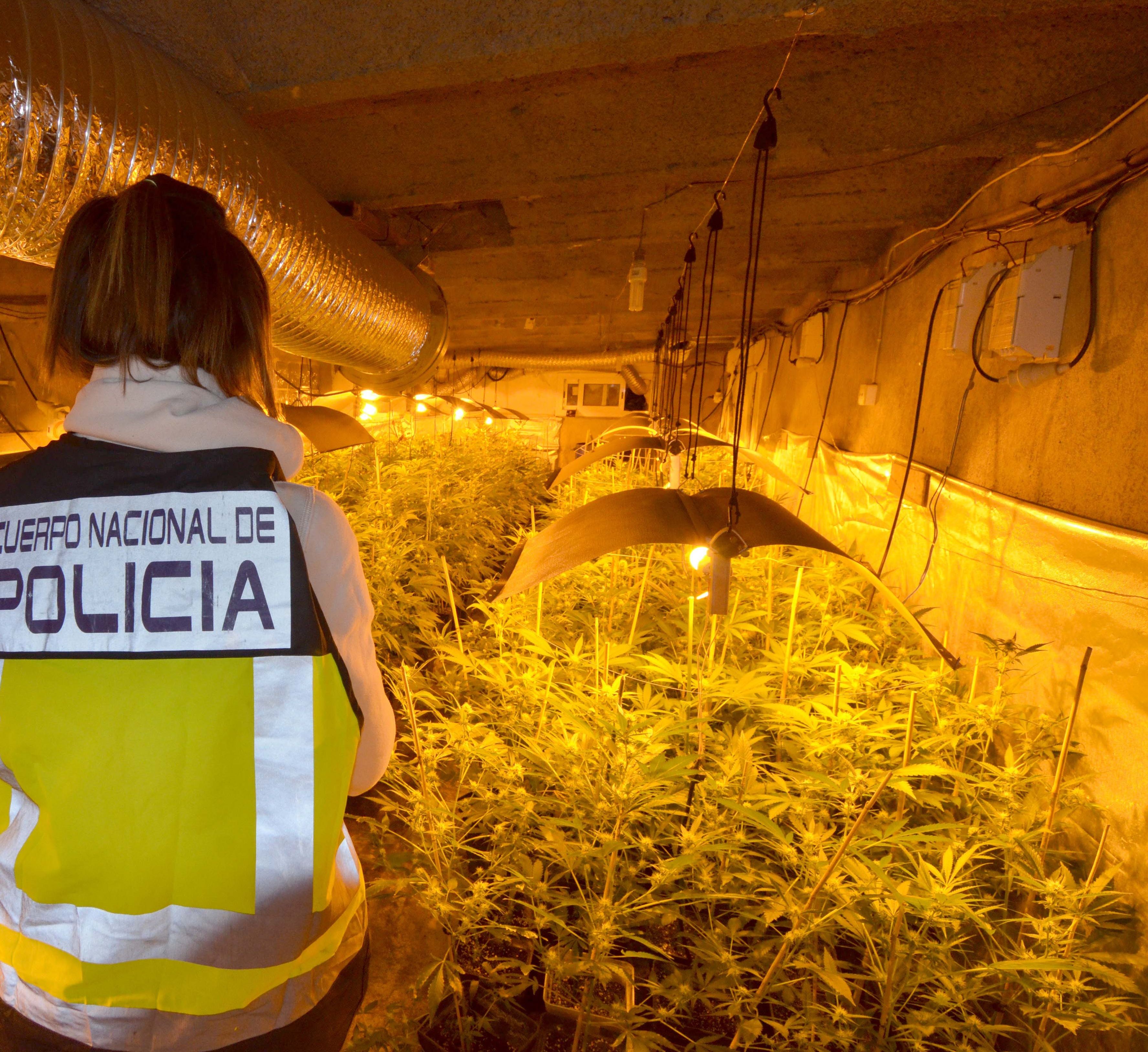 Operacion Patagonia plantaciones marihuana Valls