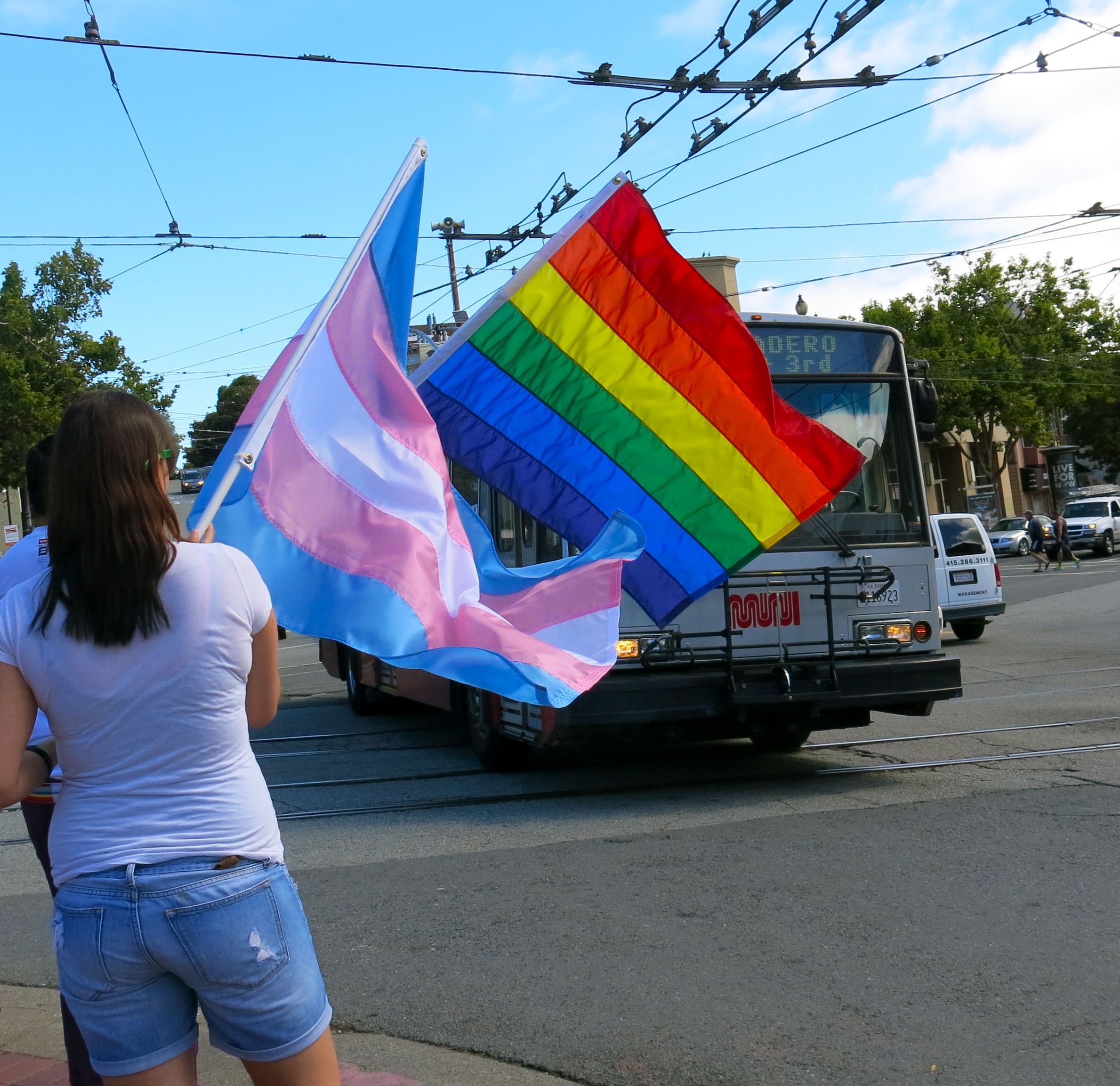 transsexual torbakhopper