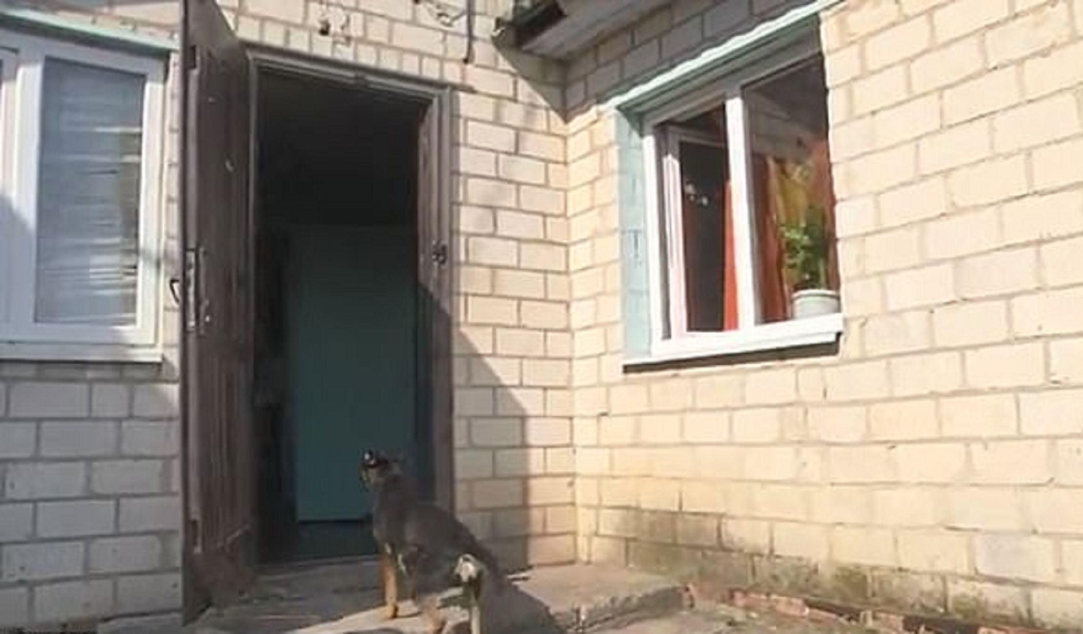 gos casa ucraina