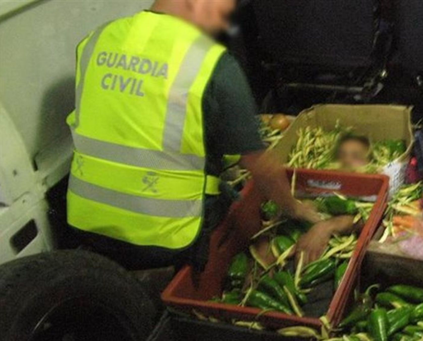 cajas hortalizas Almería