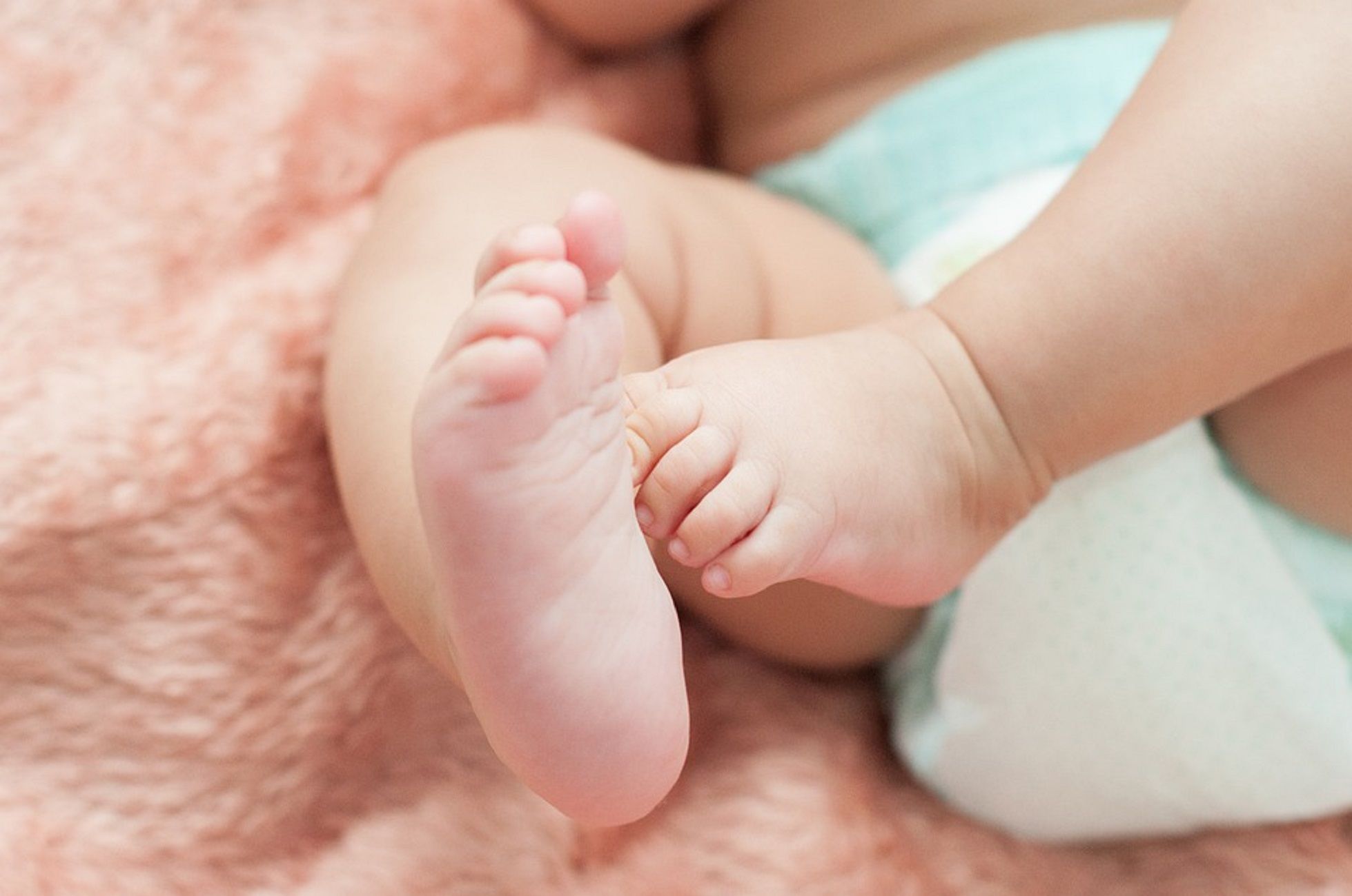 Bebé pies / Pixabay